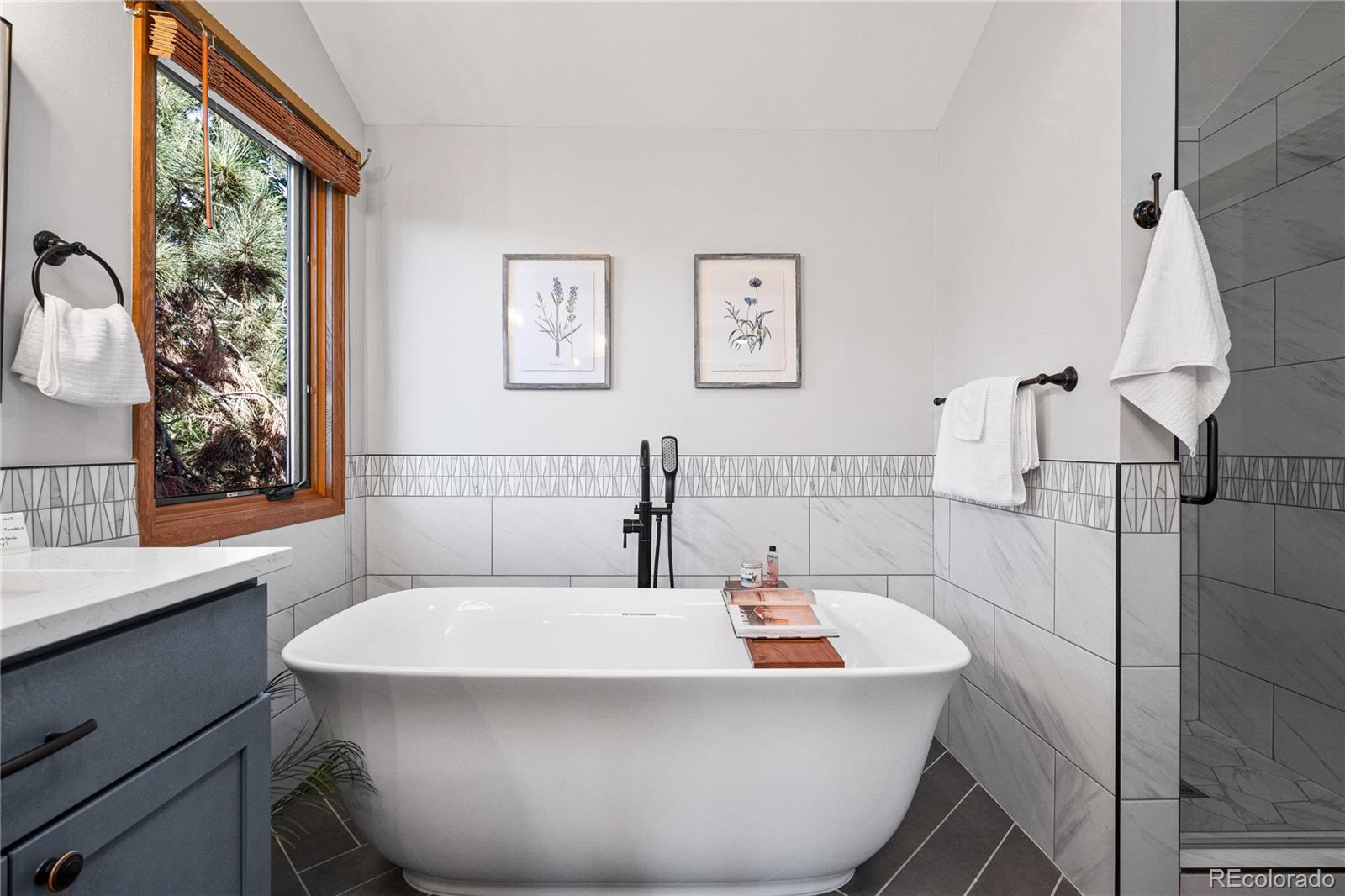 MLS Image #29 for 6018  villard court,parker, Colorado