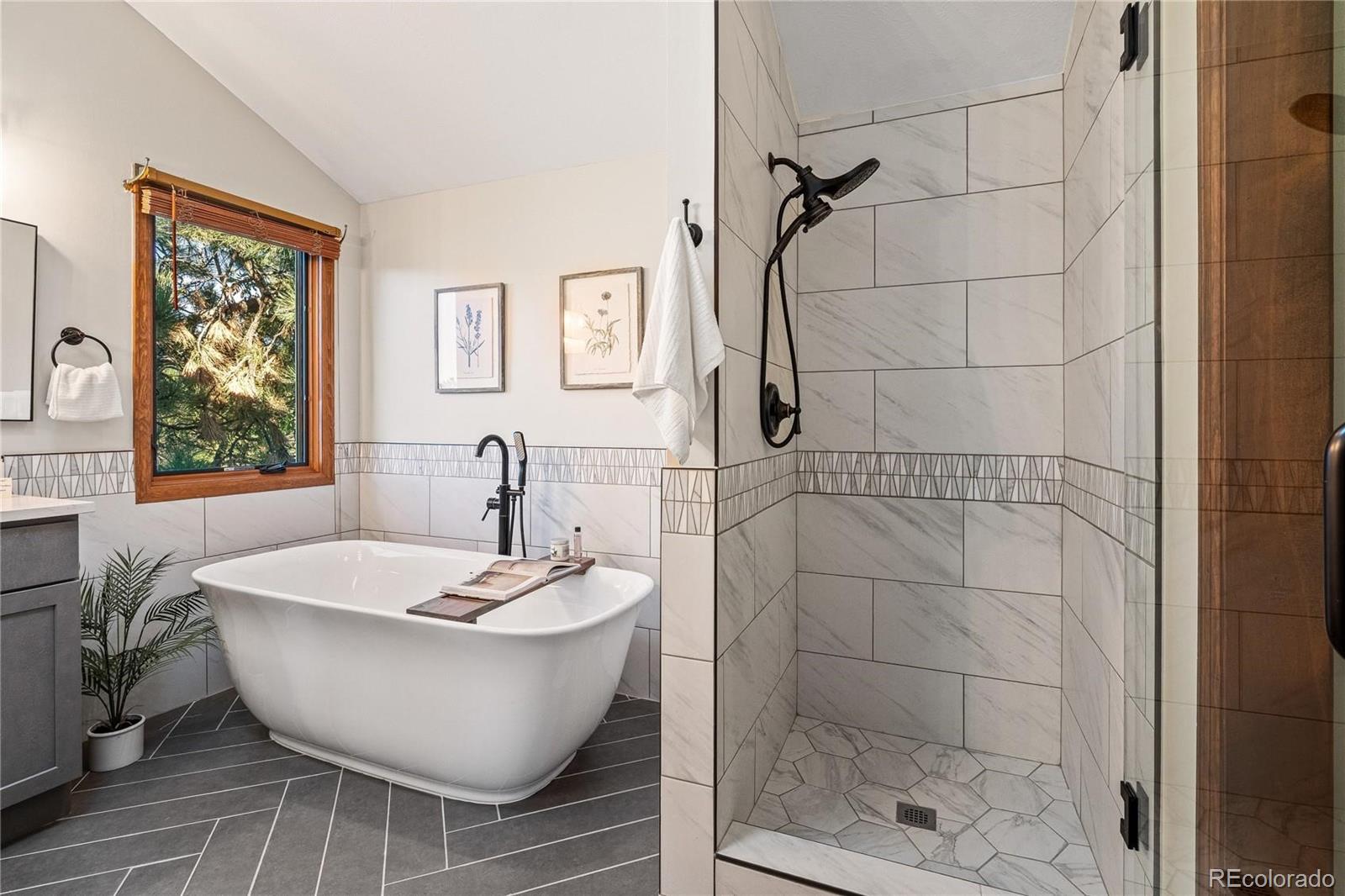 MLS Image #30 for 6018  villard court,parker, Colorado