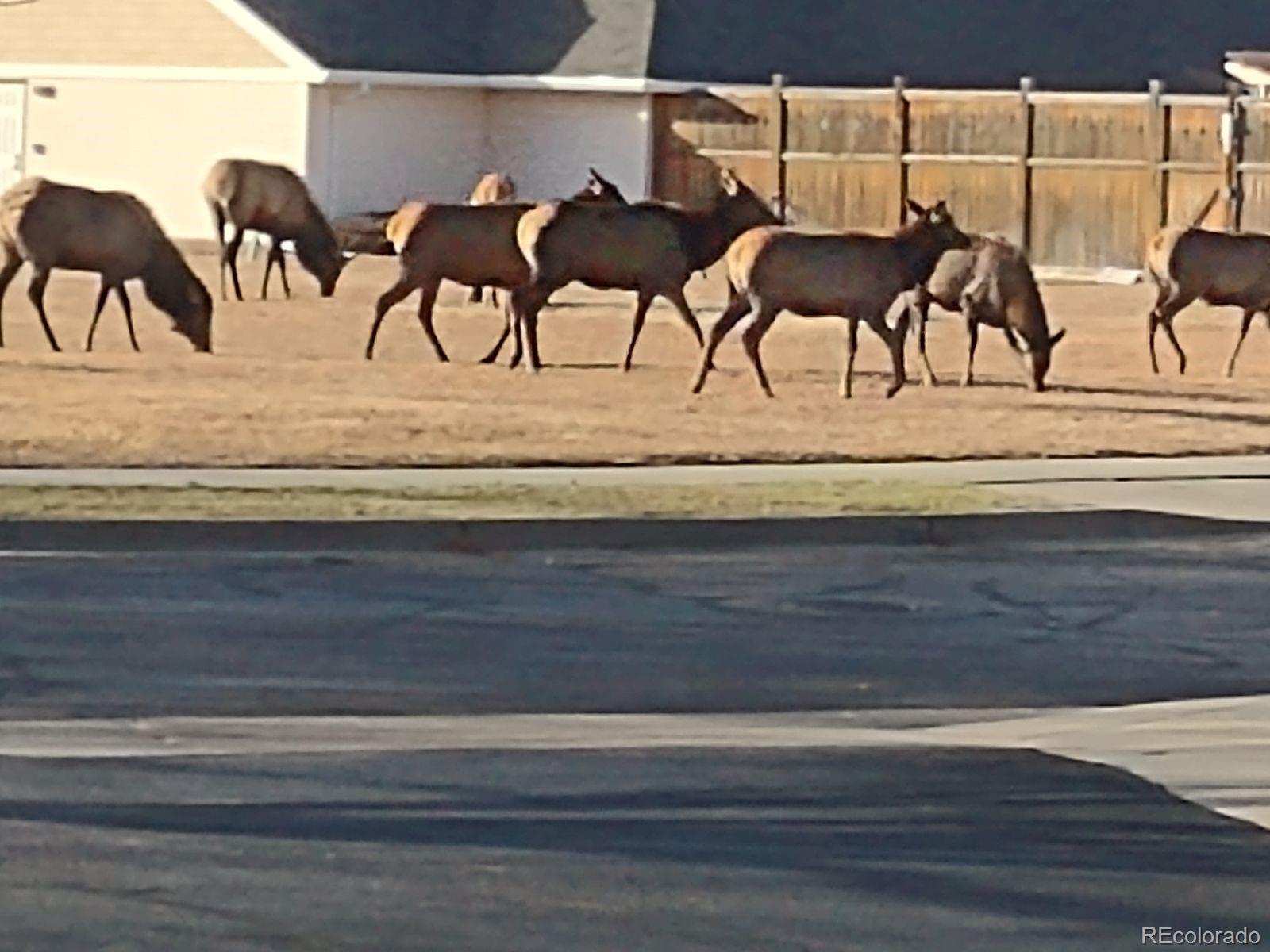 MLS Image #19 for 264  shupe circle,loveland, Colorado