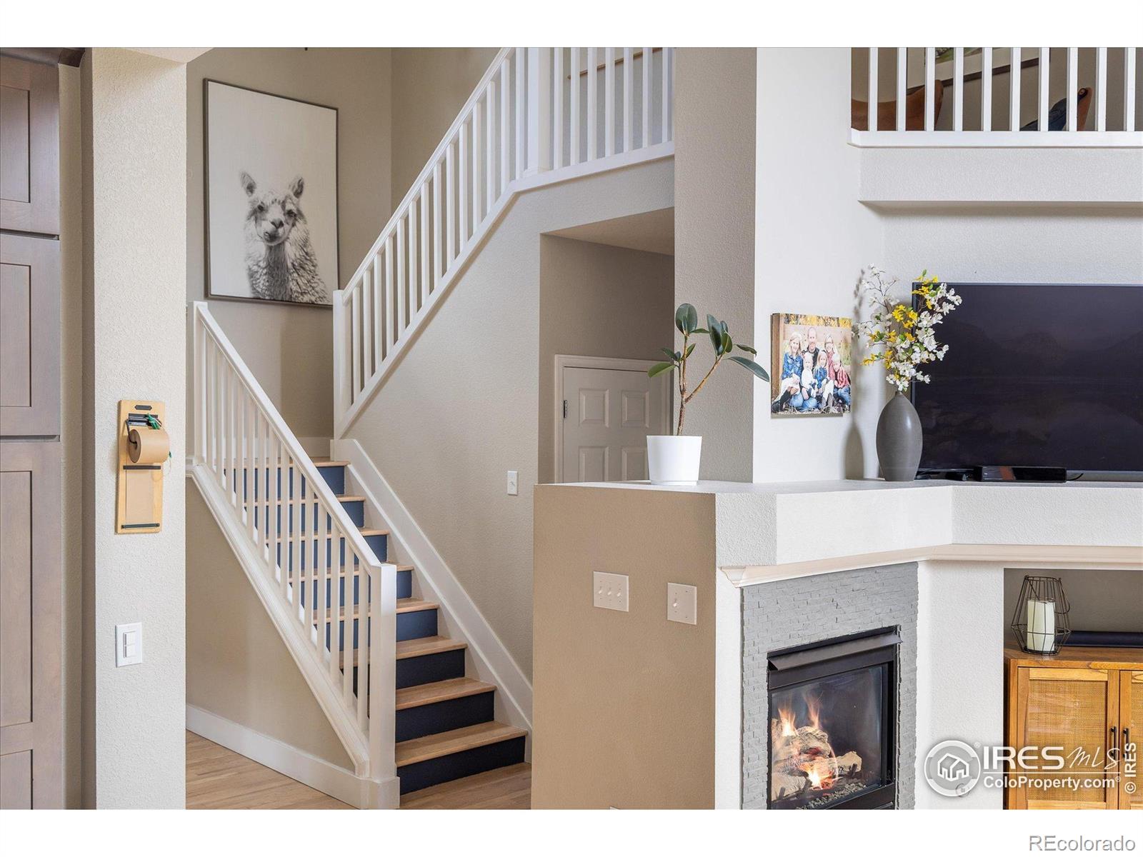 MLS Image #19 for 626  gallegos street,erie, Colorado