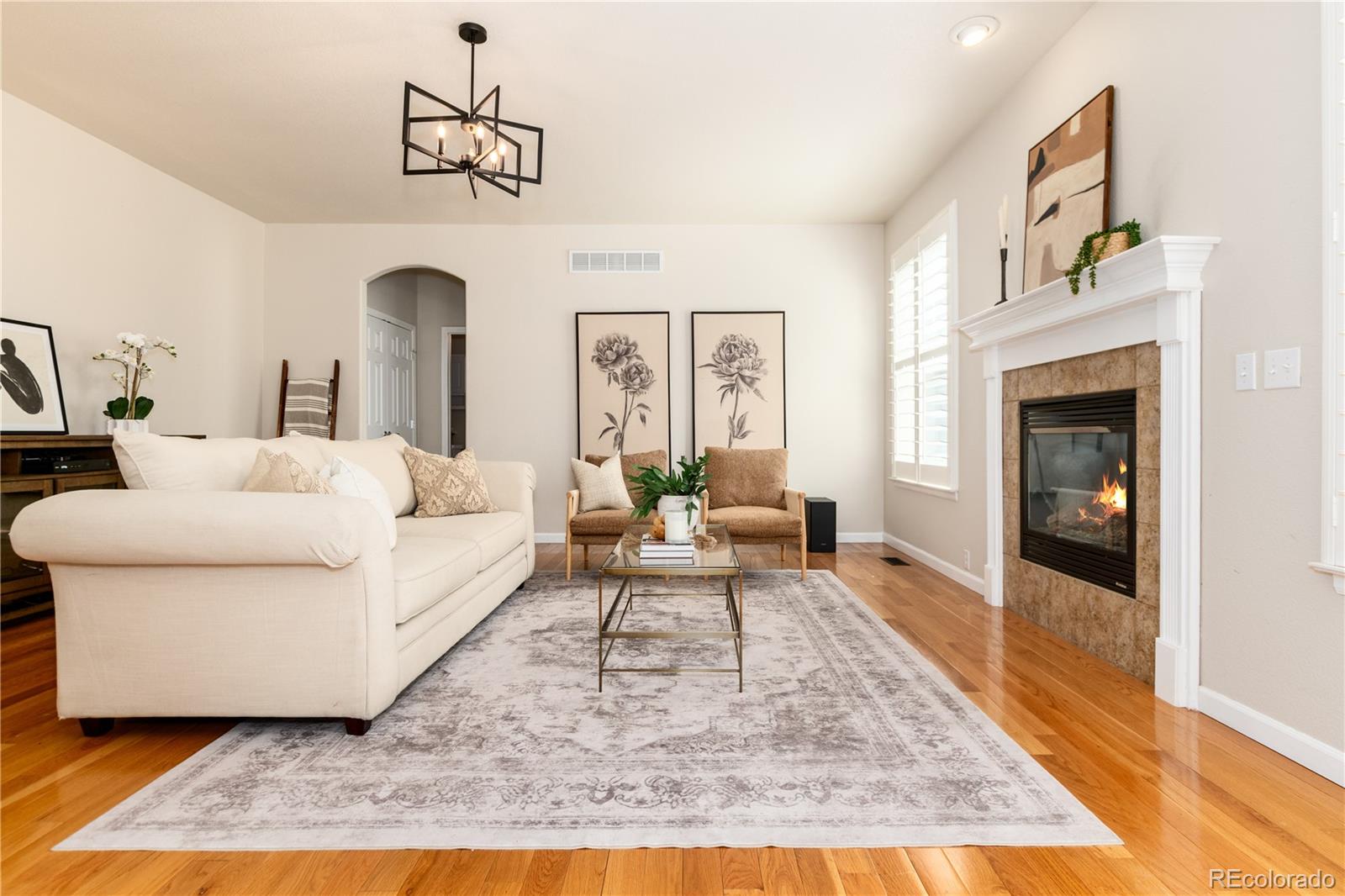 MLS Image #15 for 3064  rams horn run,broomfield, Colorado
