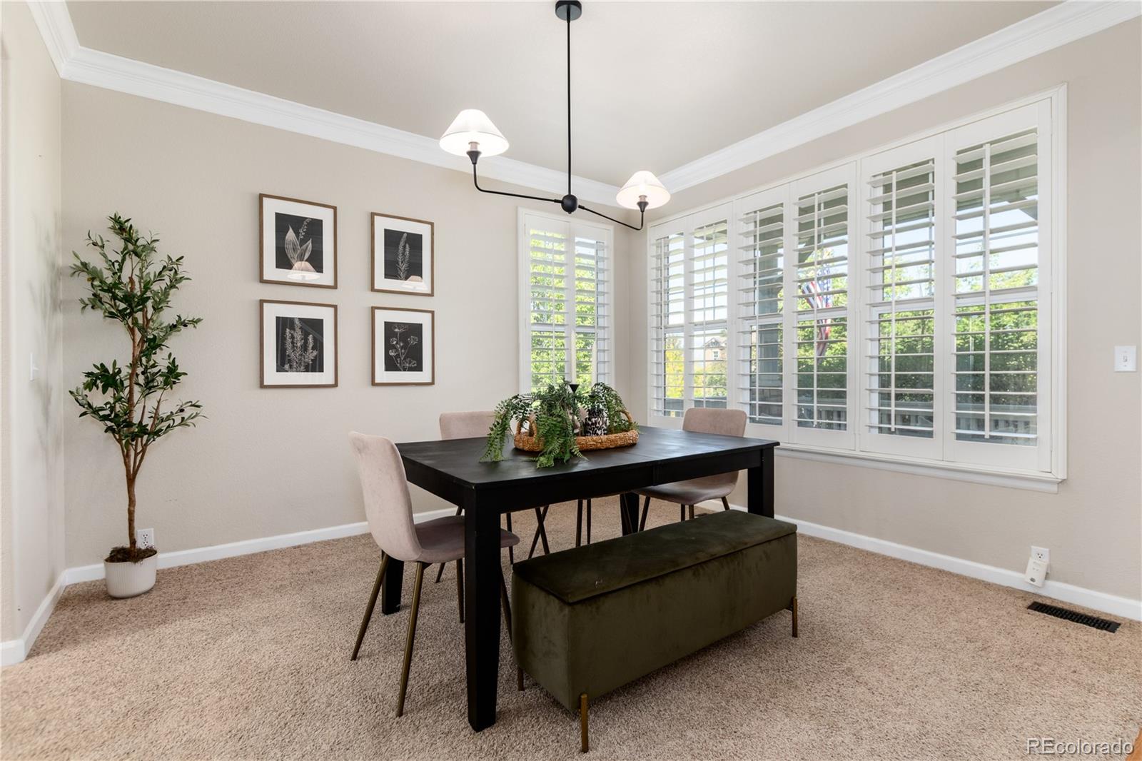 MLS Image #6 for 3064  rams horn run,broomfield, Colorado