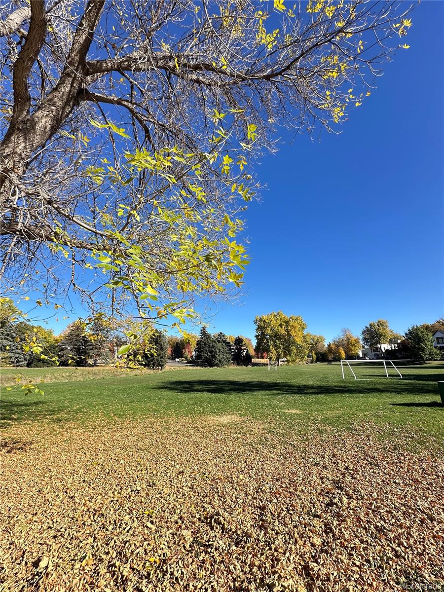 MLS Image #41 for 2667 s clayton street,denver, Colorado