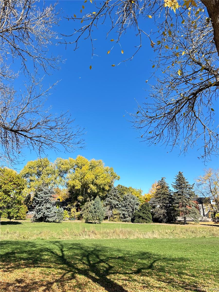 MLS Image #42 for 2667 s clayton street,denver, Colorado