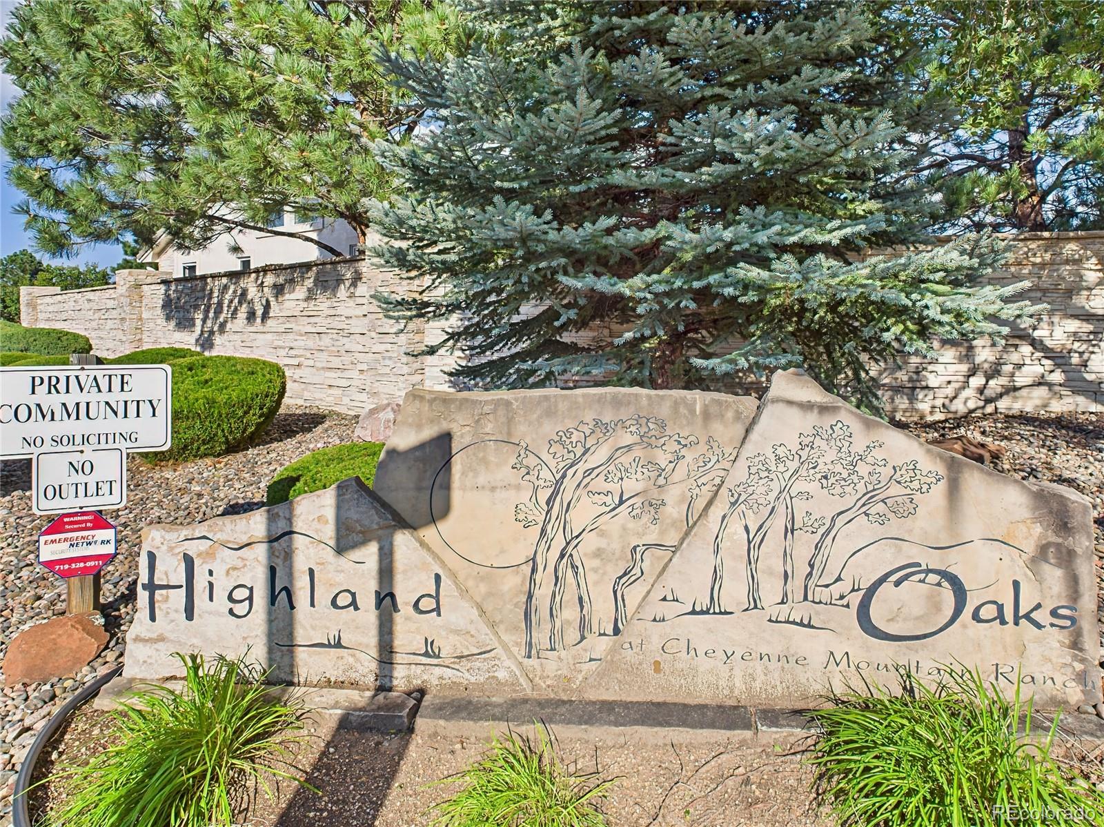 MLS Image #47 for 860  loma point,colorado springs, Colorado