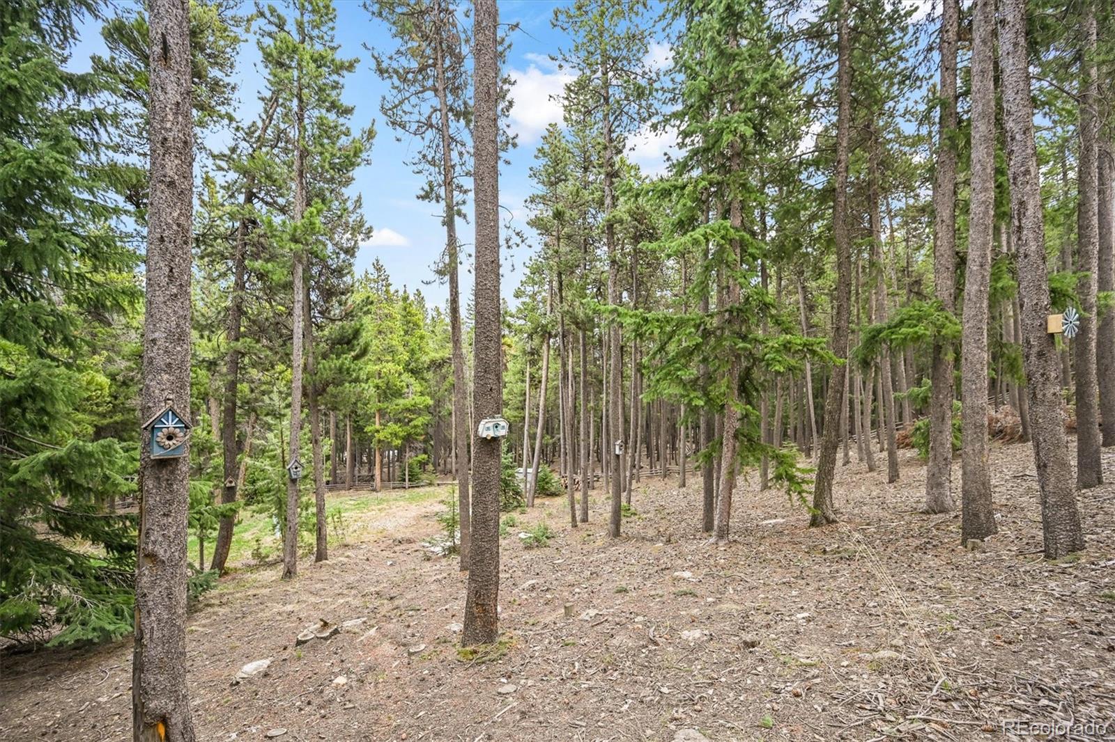 MLS Image #36 for 1673  sinton road ,evergreen, Colorado