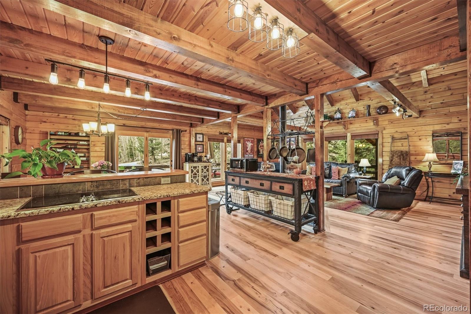 MLS Image #9 for 1673  sinton road ,evergreen, Colorado