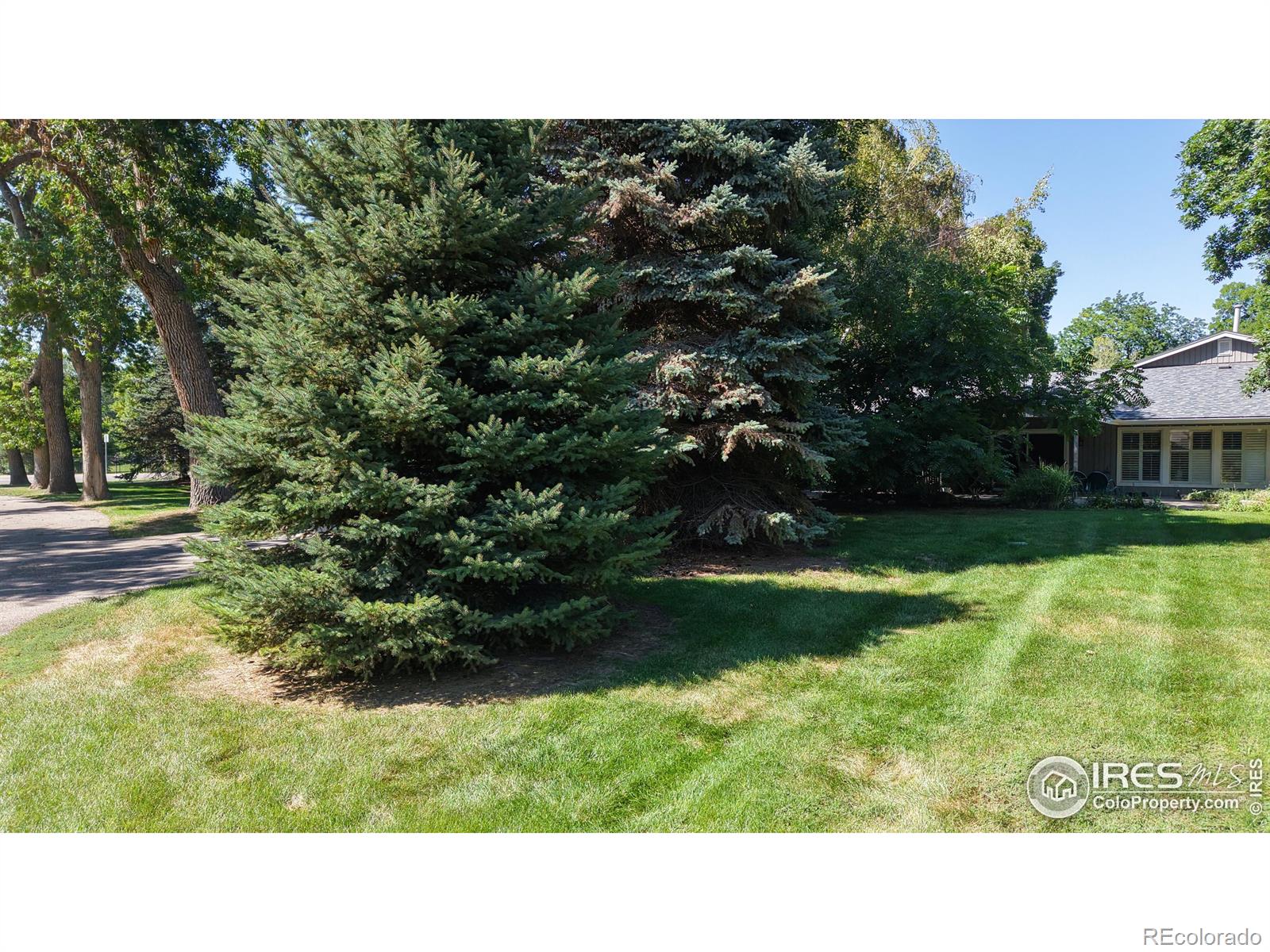 MLS Image #32 for 1113  parkwood drive,fort collins, Colorado