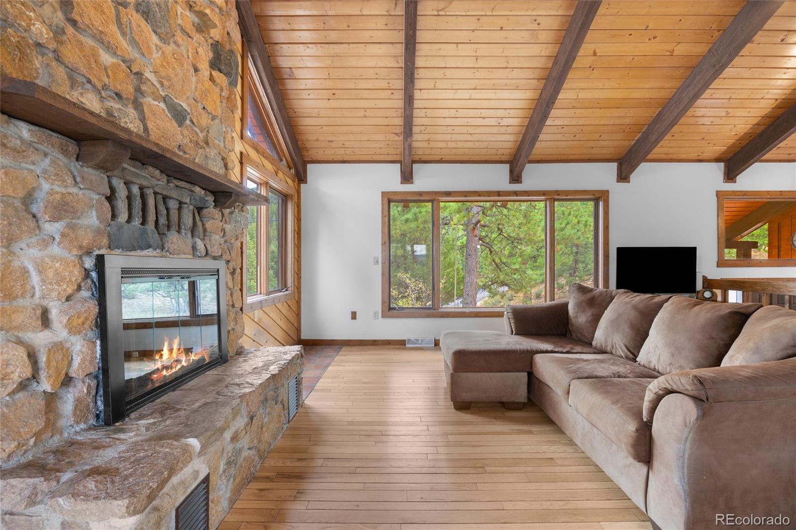 MLS Image #5 for 730  clear creek road,evergreen, Colorado