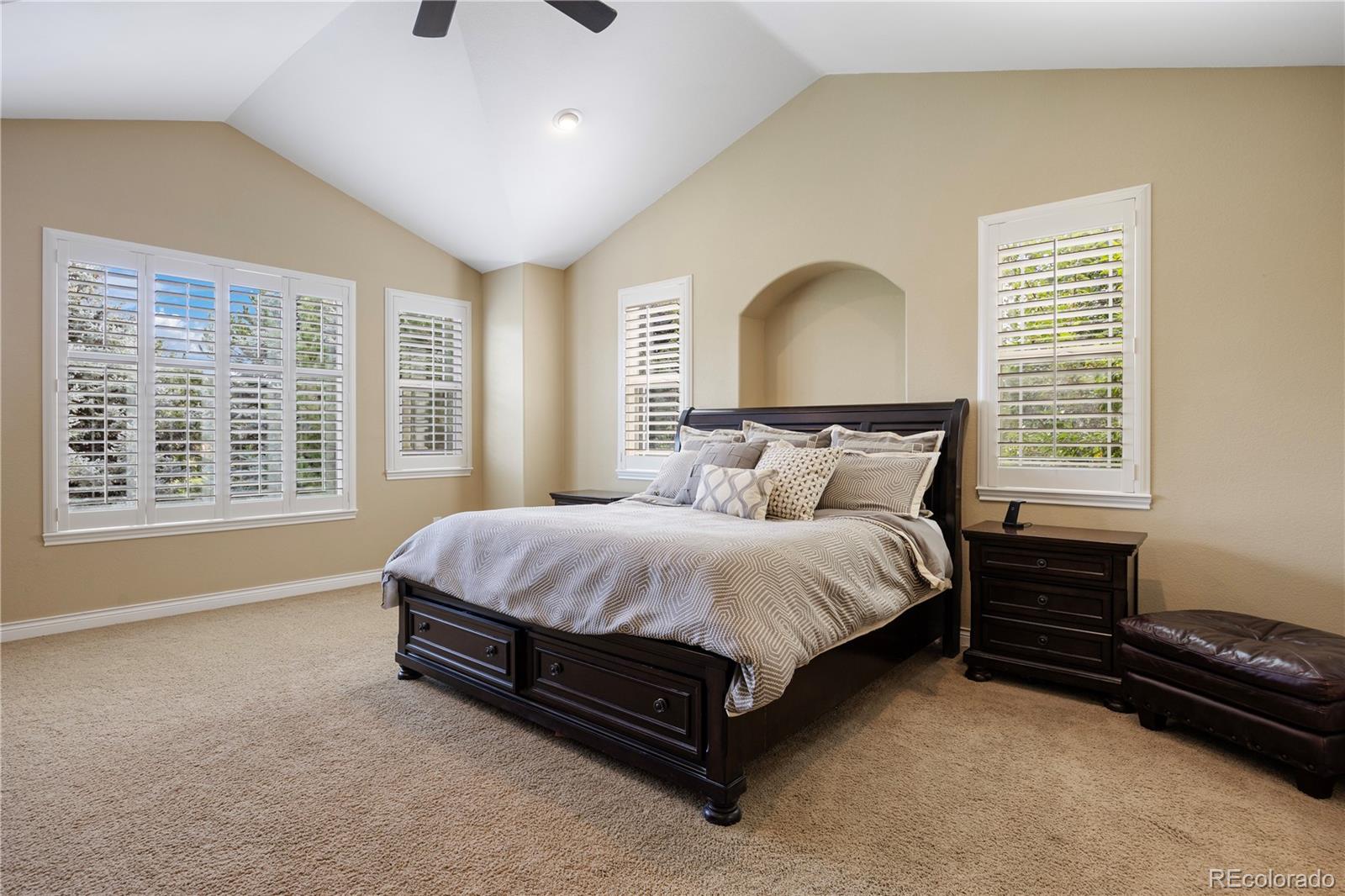MLS Image #20 for 3438  elk run drive,castle rock, Colorado