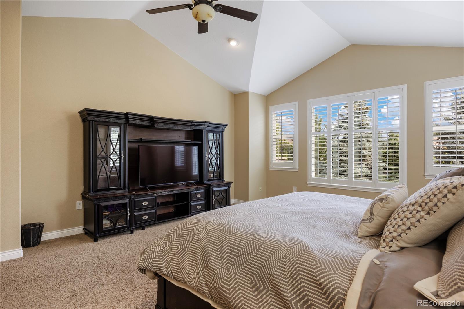 MLS Image #21 for 3438  elk run drive,castle rock, Colorado