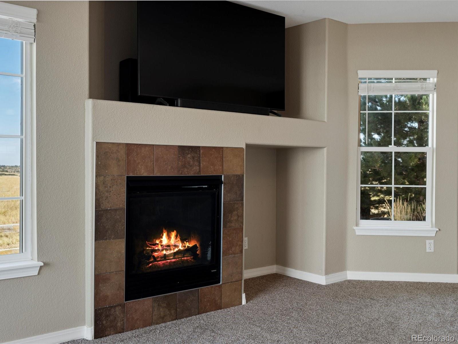 MLS Image #11 for 2423  cutters circle,castle rock, Colorado