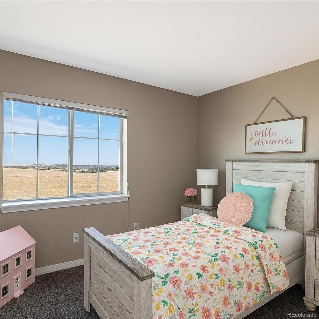 MLS Image #25 for 2423  cutters circle,castle rock, Colorado