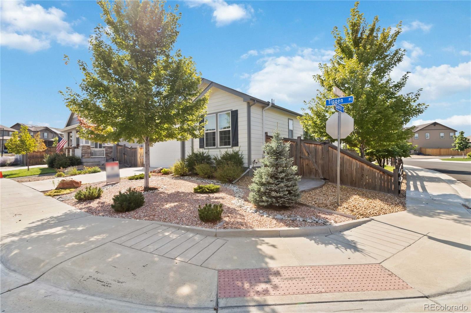 MLS Image #1 for 430  tippen place,castle rock, Colorado