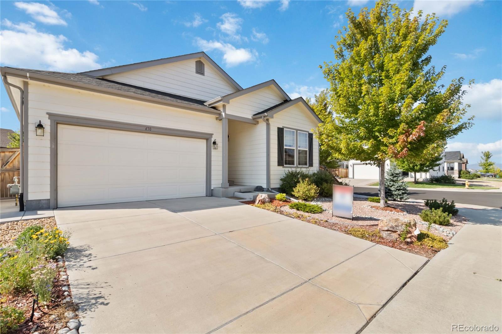 MLS Image #2 for 430  tippen place,castle rock, Colorado