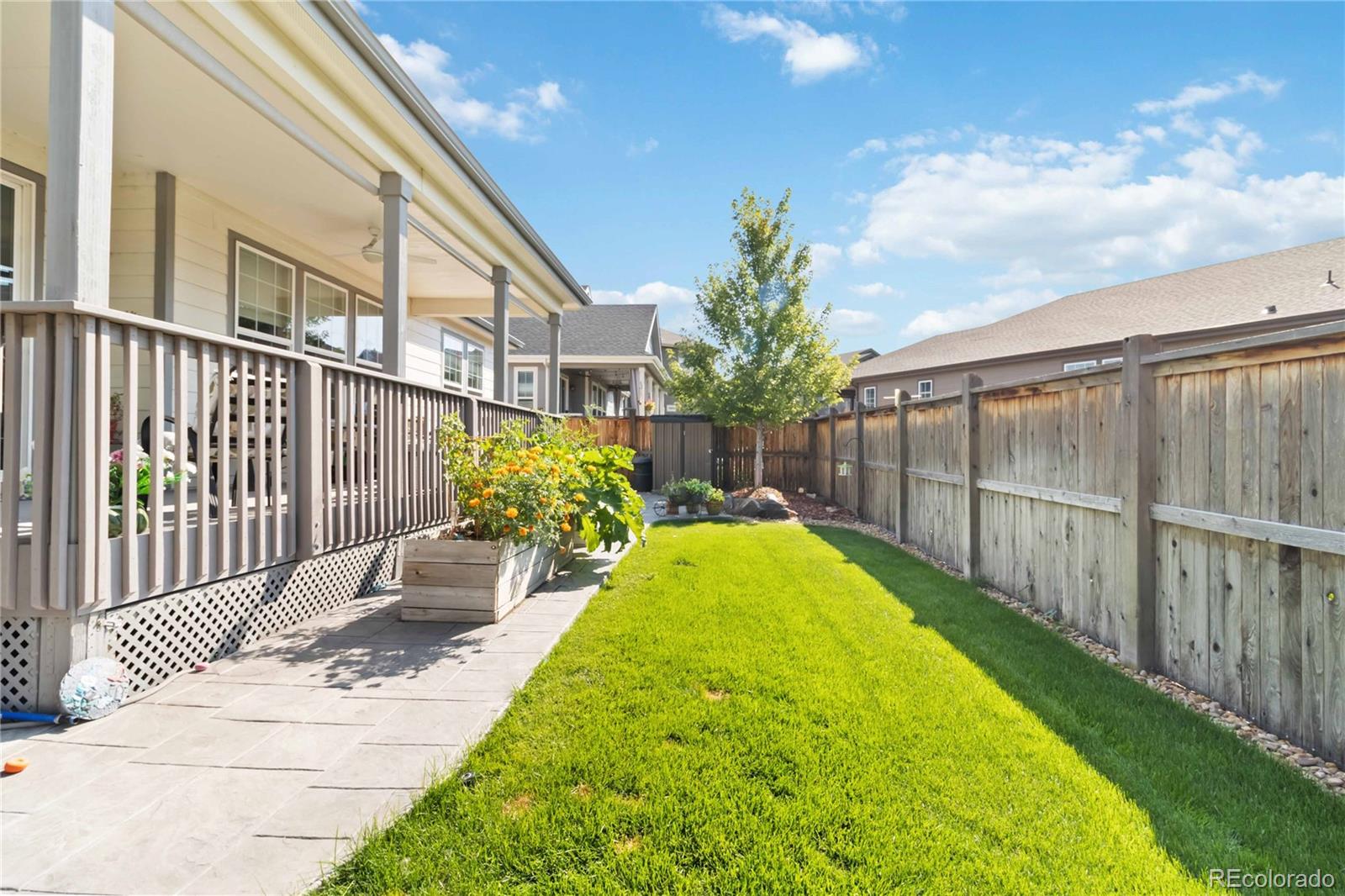 MLS Image #39 for 430  tippen place,castle rock, Colorado