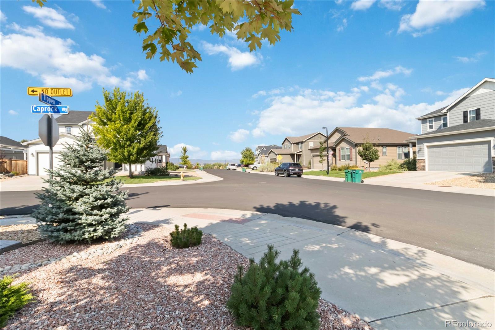 MLS Image #40 for 430  tippen place,castle rock, Colorado