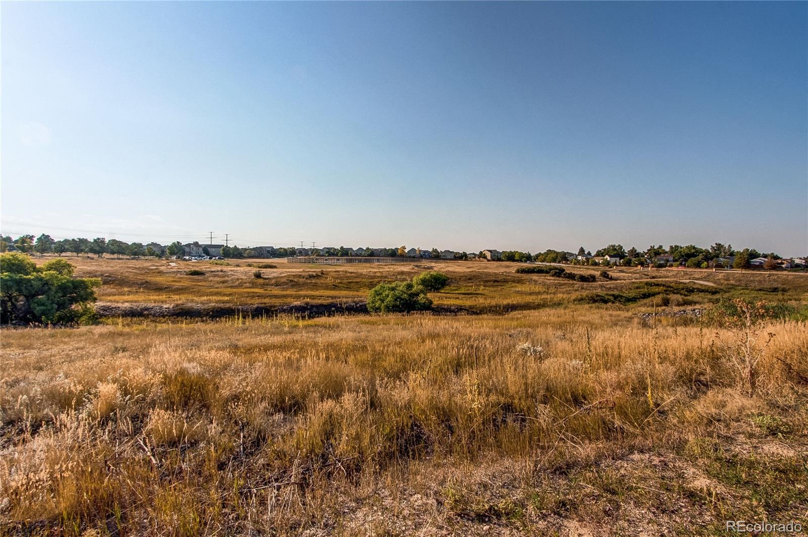 MLS Image #23 for 5864  turnstone place ,castle rock, Colorado