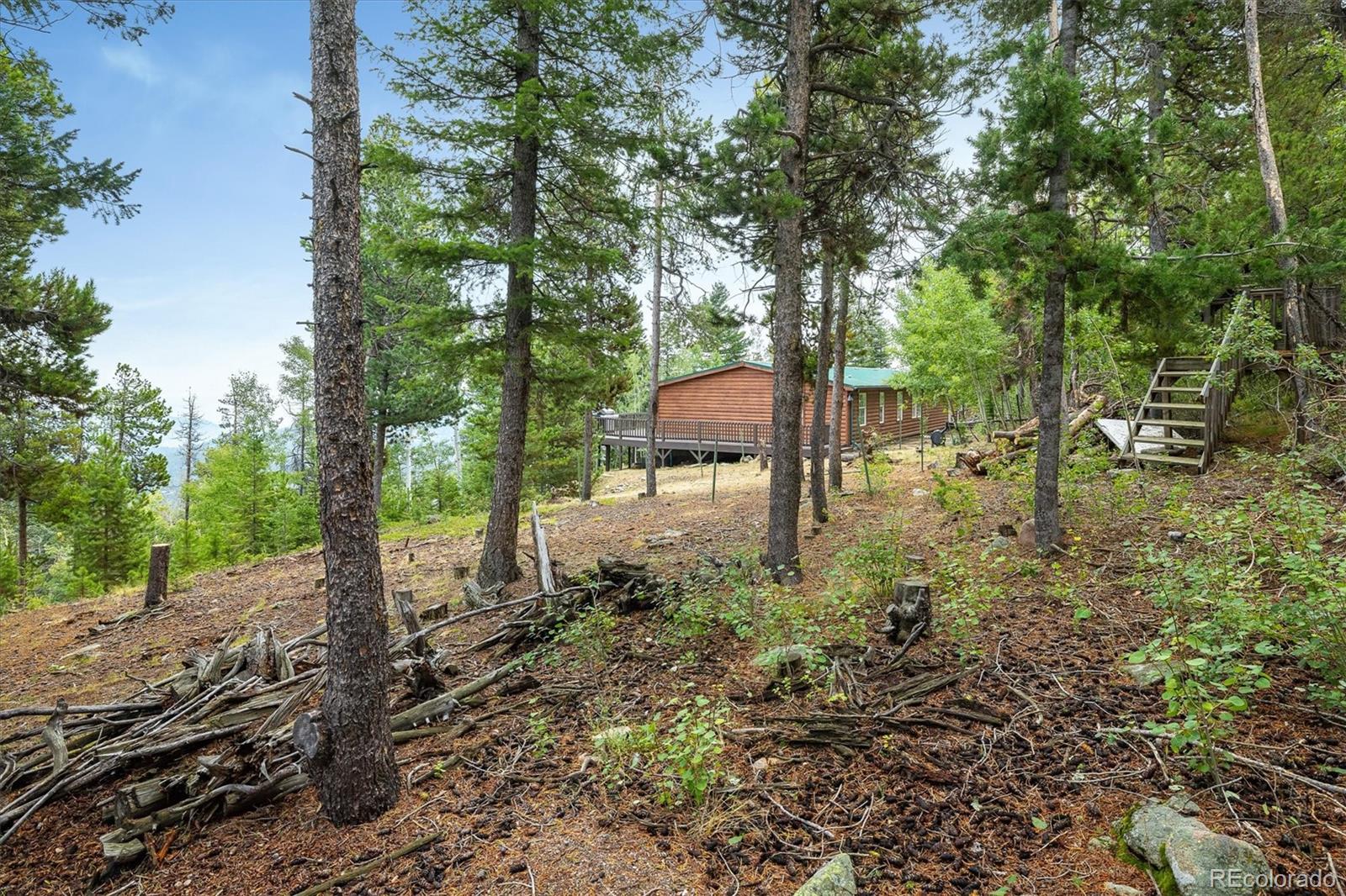 MLS Image #36 for 11857  coal creek heights drive,golden, Colorado