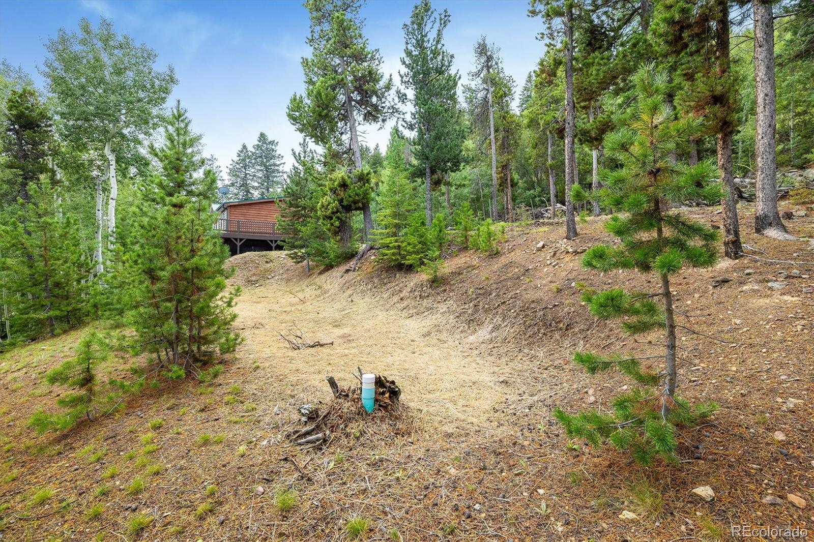 MLS Image #37 for 11857  coal creek heights drive,golden, Colorado