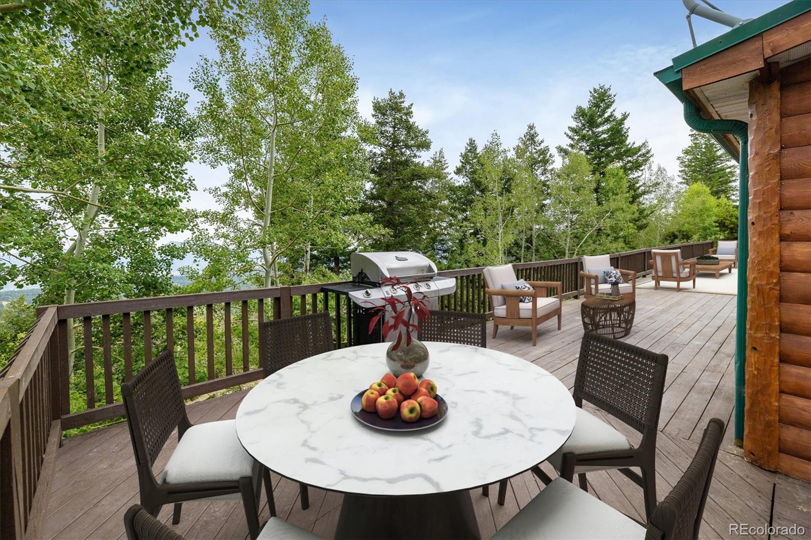 MLS Image #4 for 11857  coal creek heights drive,golden, Colorado