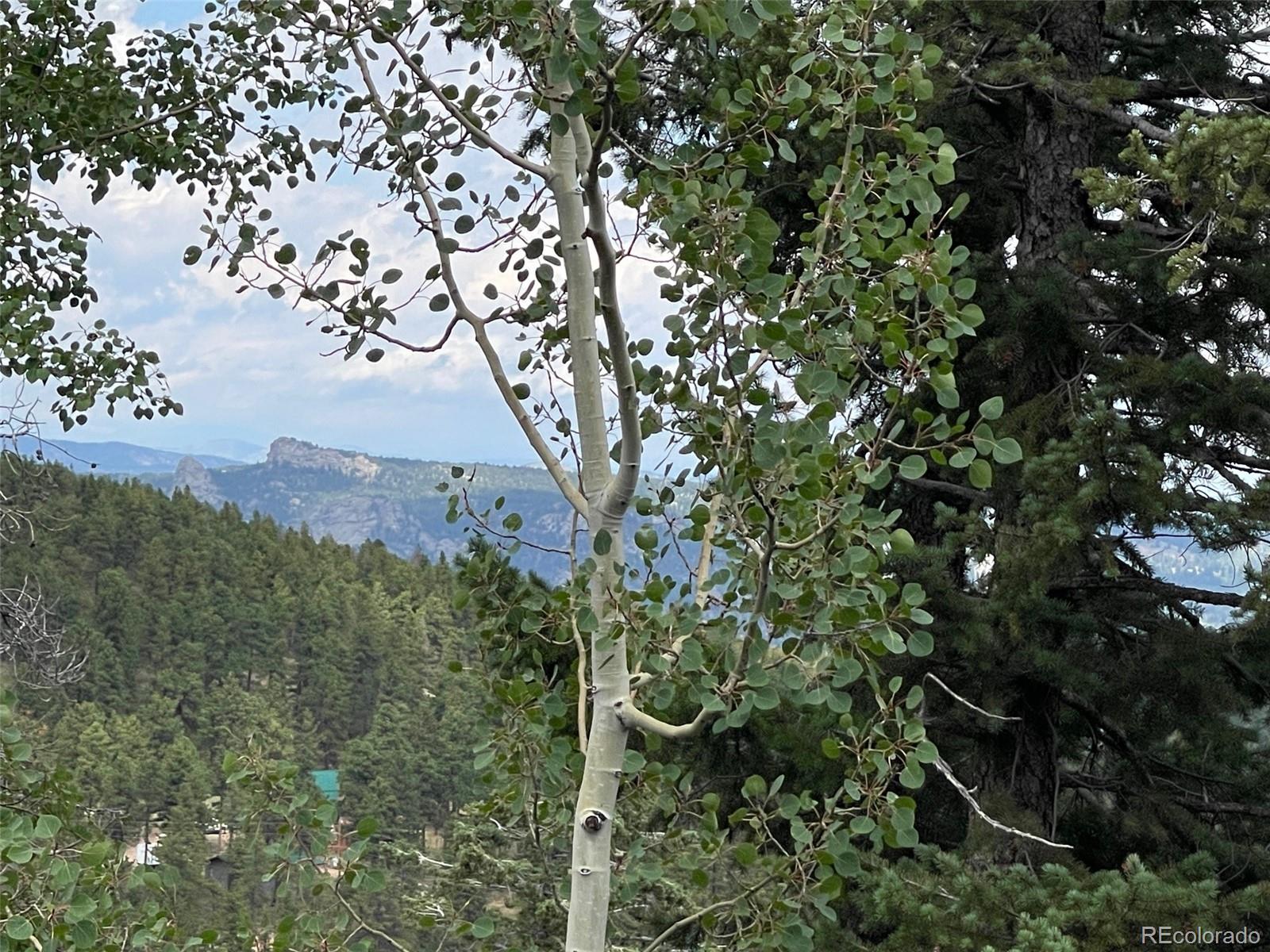 MLS Image #40 for 11857  coal creek heights drive,golden, Colorado