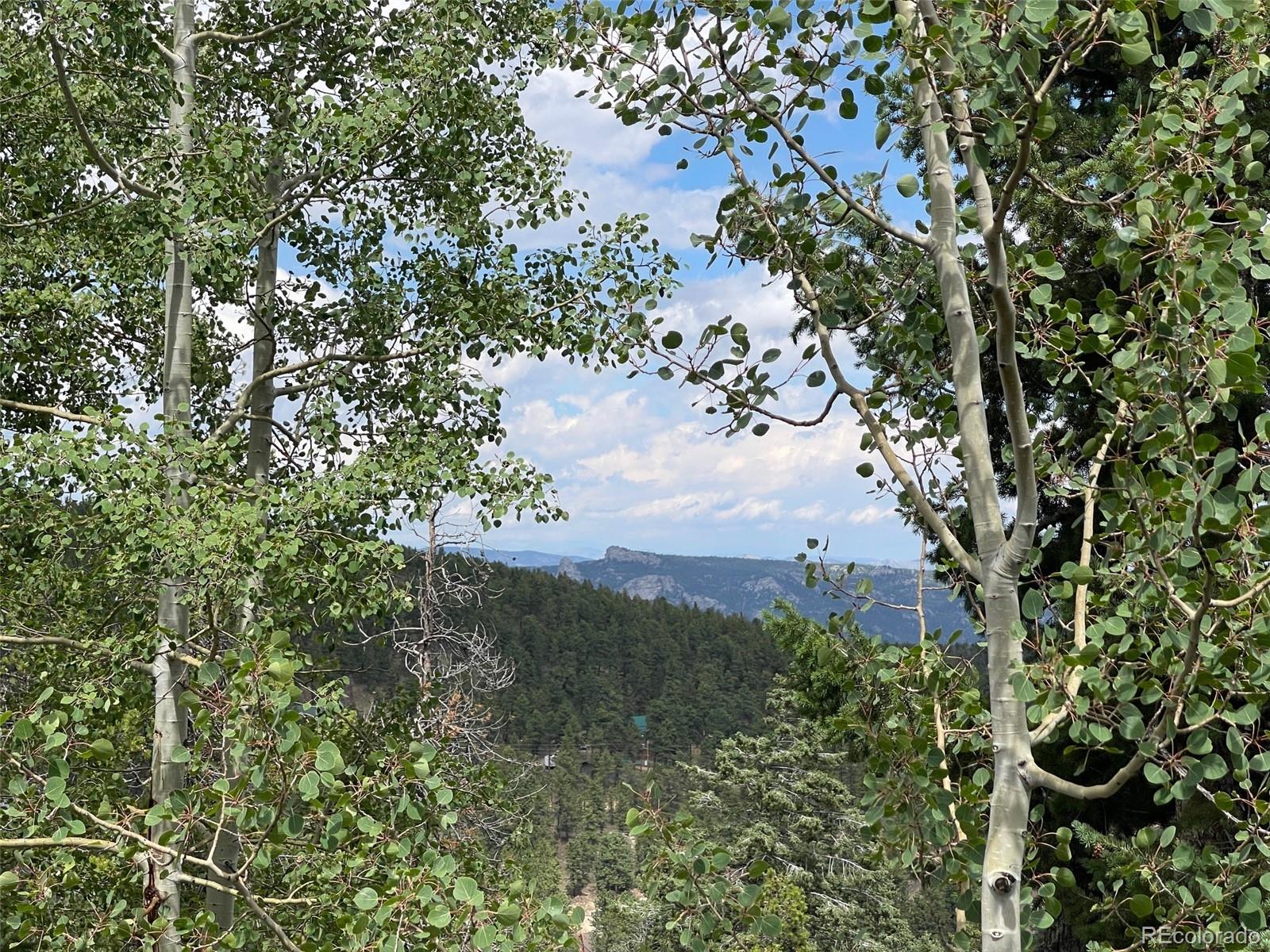 MLS Image #41 for 11857  coal creek heights drive,golden, Colorado