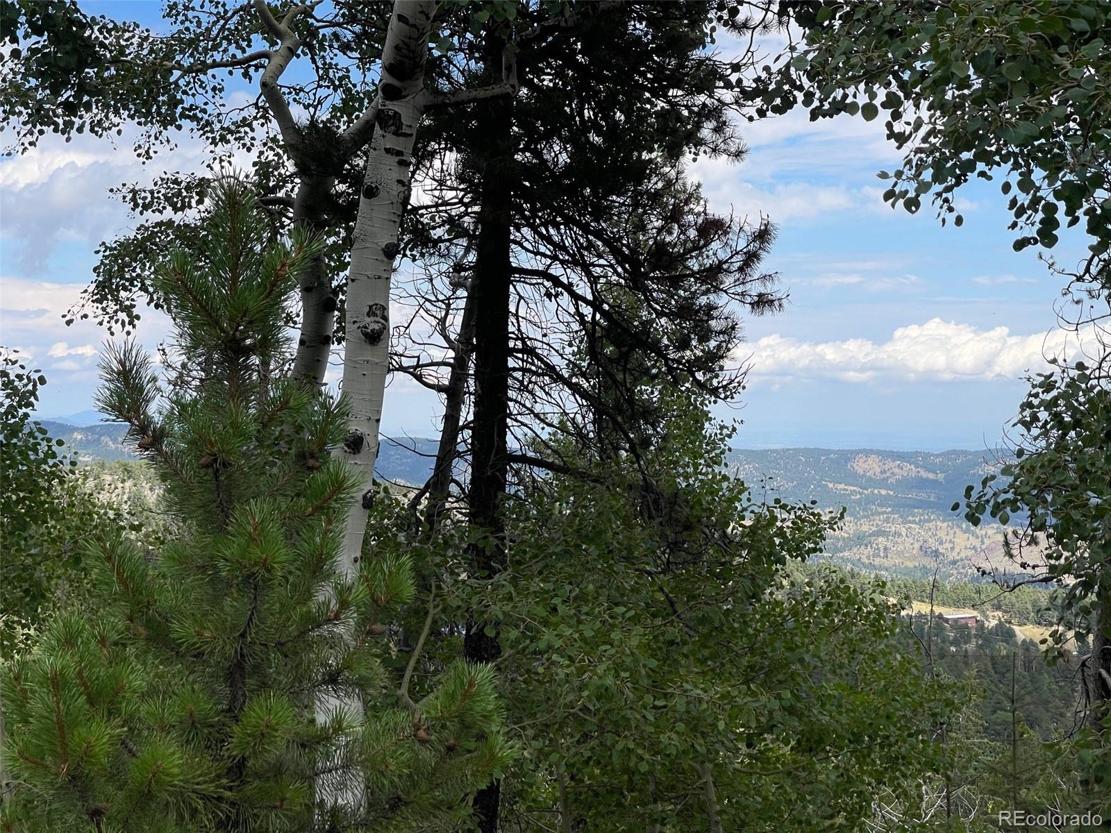 MLS Image #42 for 11857  coal creek heights drive,golden, Colorado