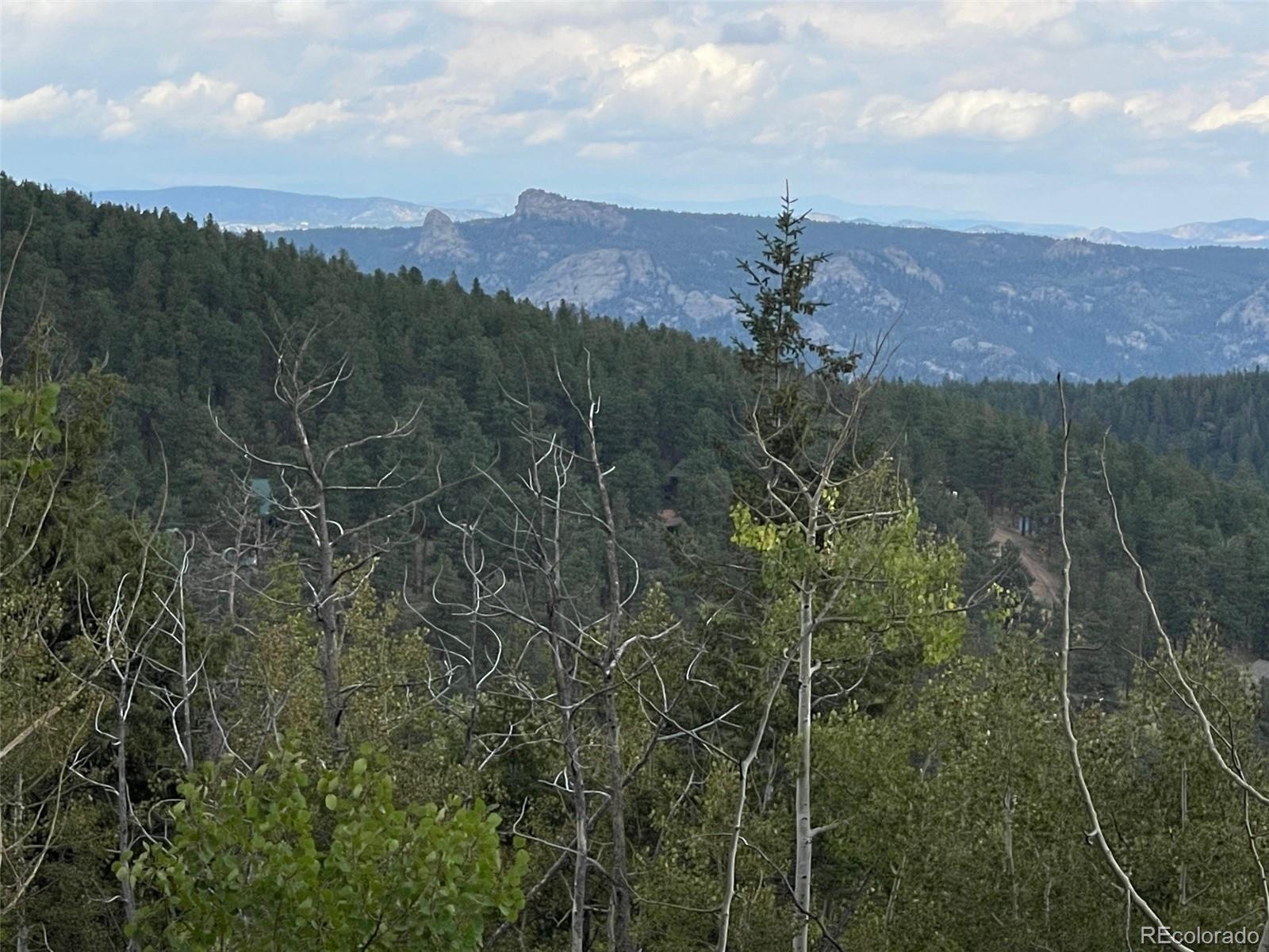 MLS Image #44 for 11857  coal creek heights drive,golden, Colorado