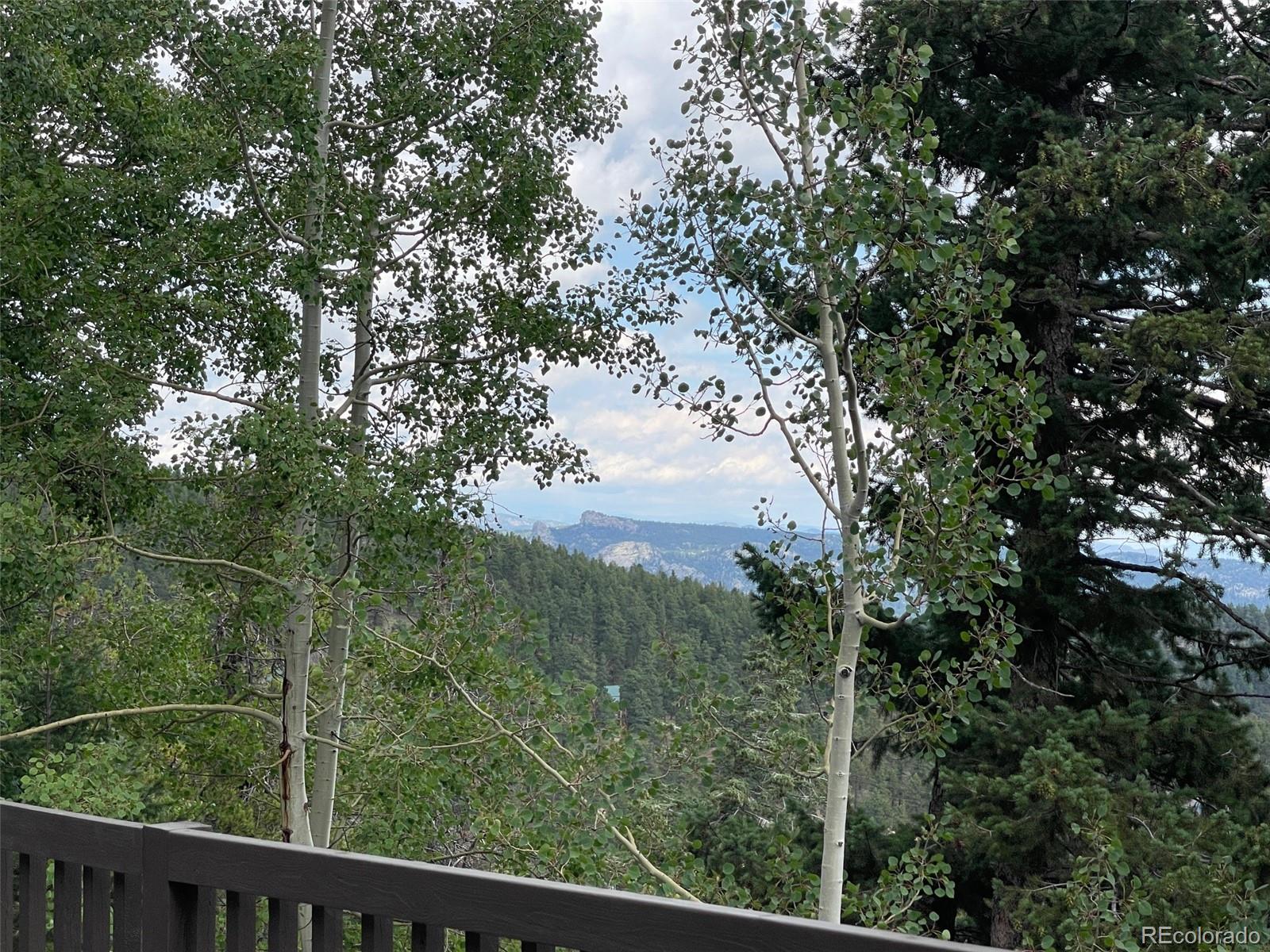 MLS Image #6 for 11857  coal creek heights drive,golden, Colorado