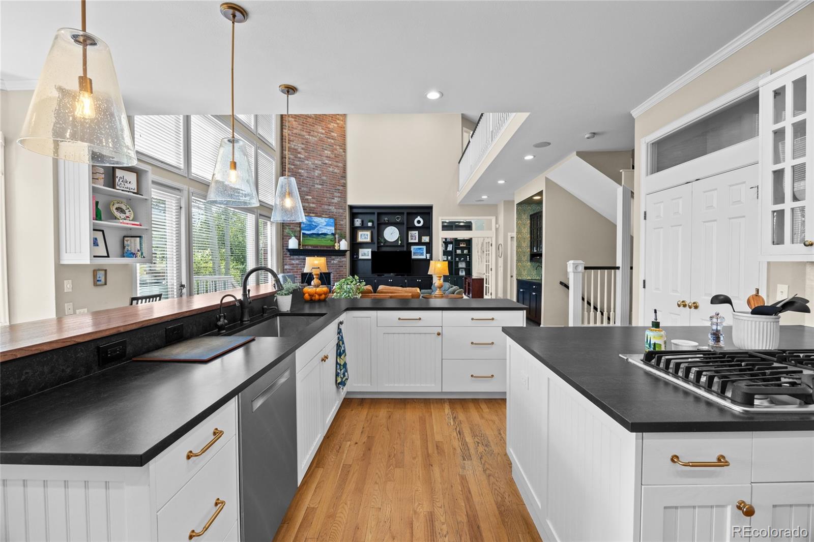 MLS Image #10 for 24  lark bunting lane,littleton, Colorado