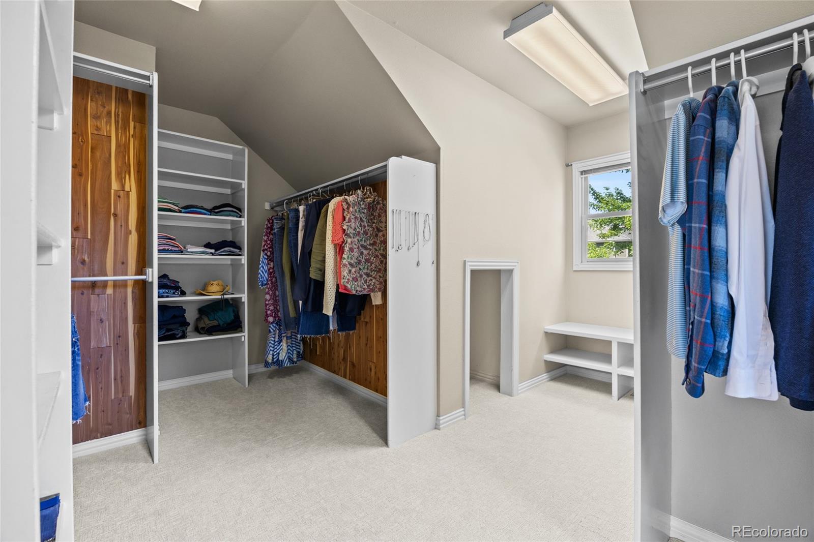 MLS Image #26 for 24  lark bunting lane,littleton, Colorado