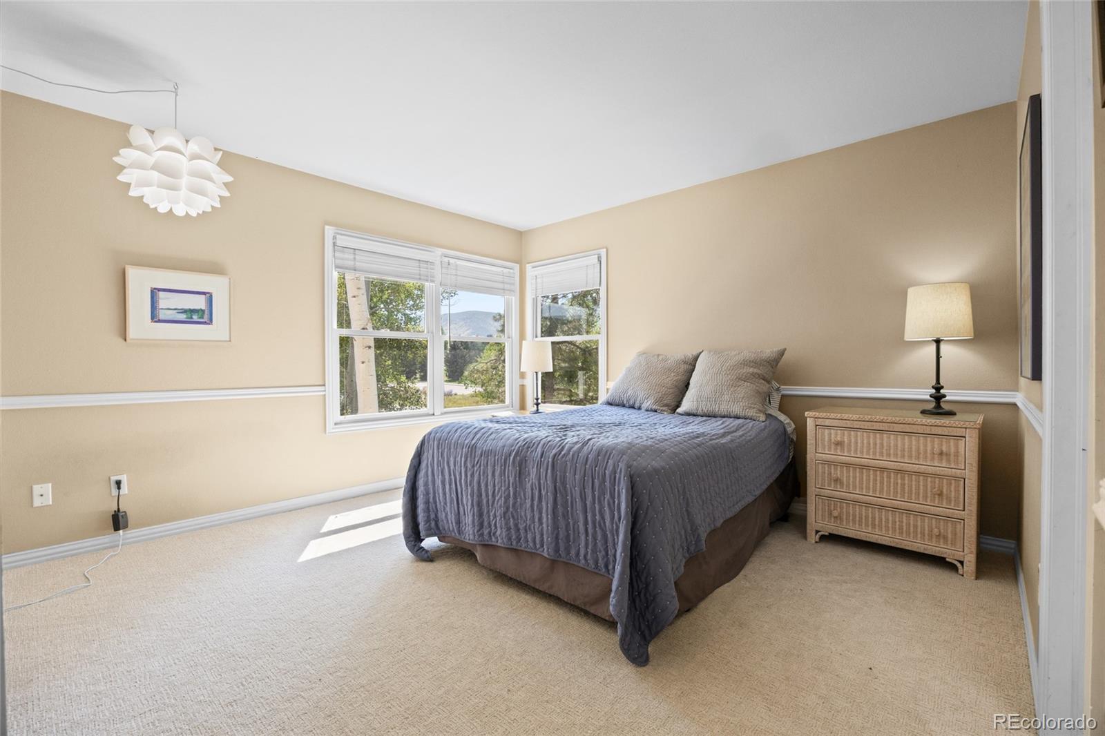 MLS Image #28 for 24  lark bunting lane,littleton, Colorado
