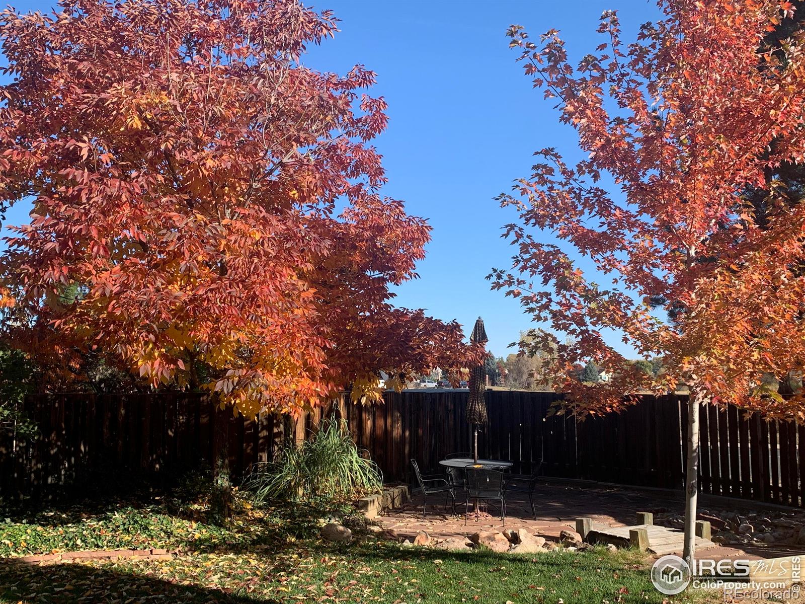 MLS Image #35 for 745  crystal court,lafayette, Colorado