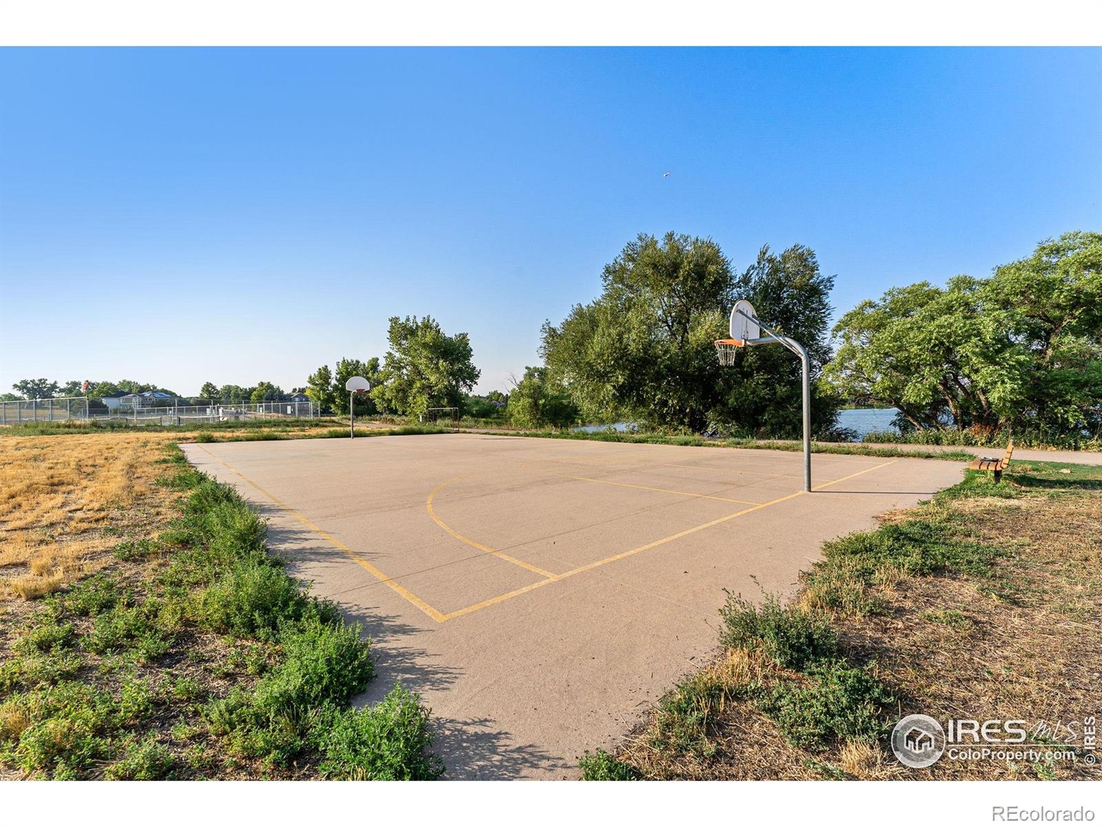 MLS Image #48 for 745  crystal court,lafayette, Colorado