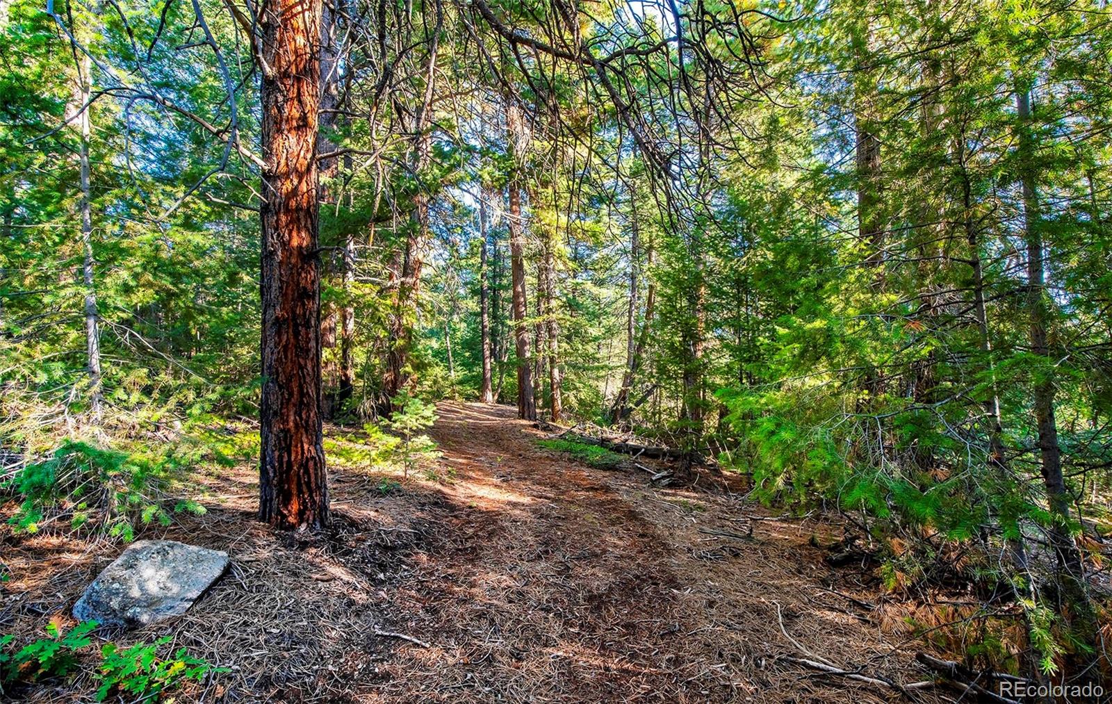 MLS Image #6 for 8838  hillview road,morrison, Colorado