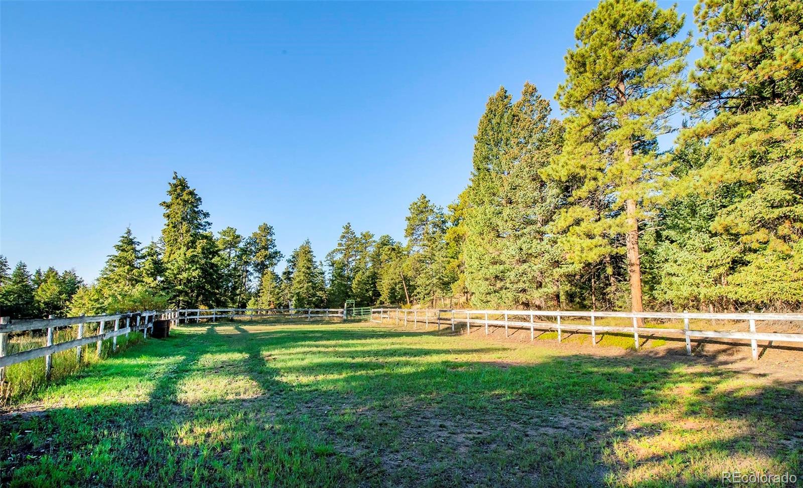 MLS Image #8 for 8838  hillview road,morrison, Colorado