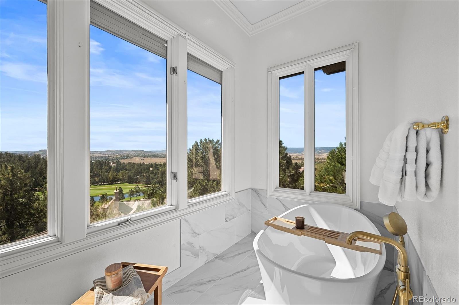 MLS Image #24 for 99  coulter place,castle rock, Colorado