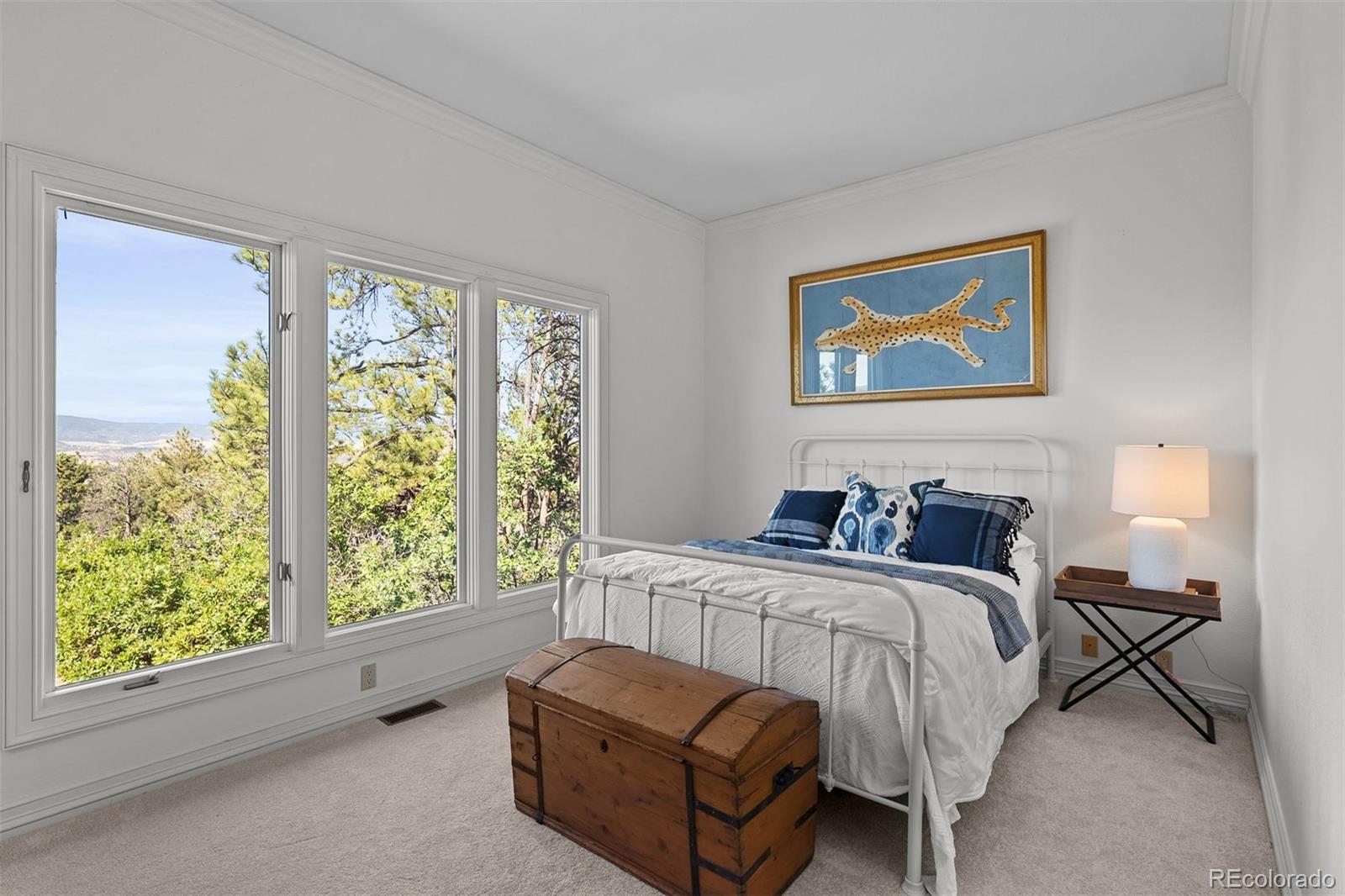 MLS Image #28 for 99  coulter place,castle rock, Colorado