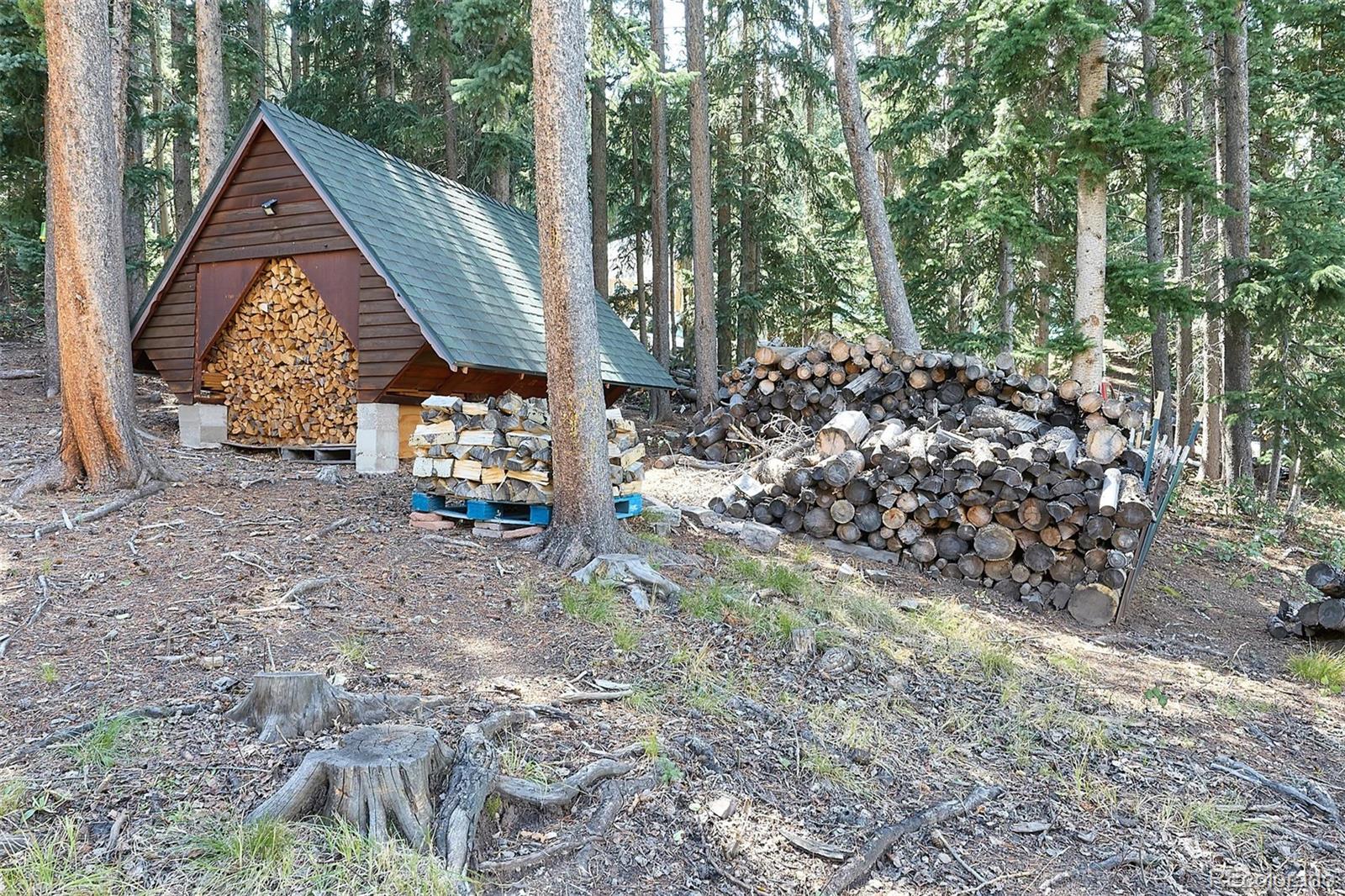 MLS Image #9 for 98  martin drive,evergreen, Colorado