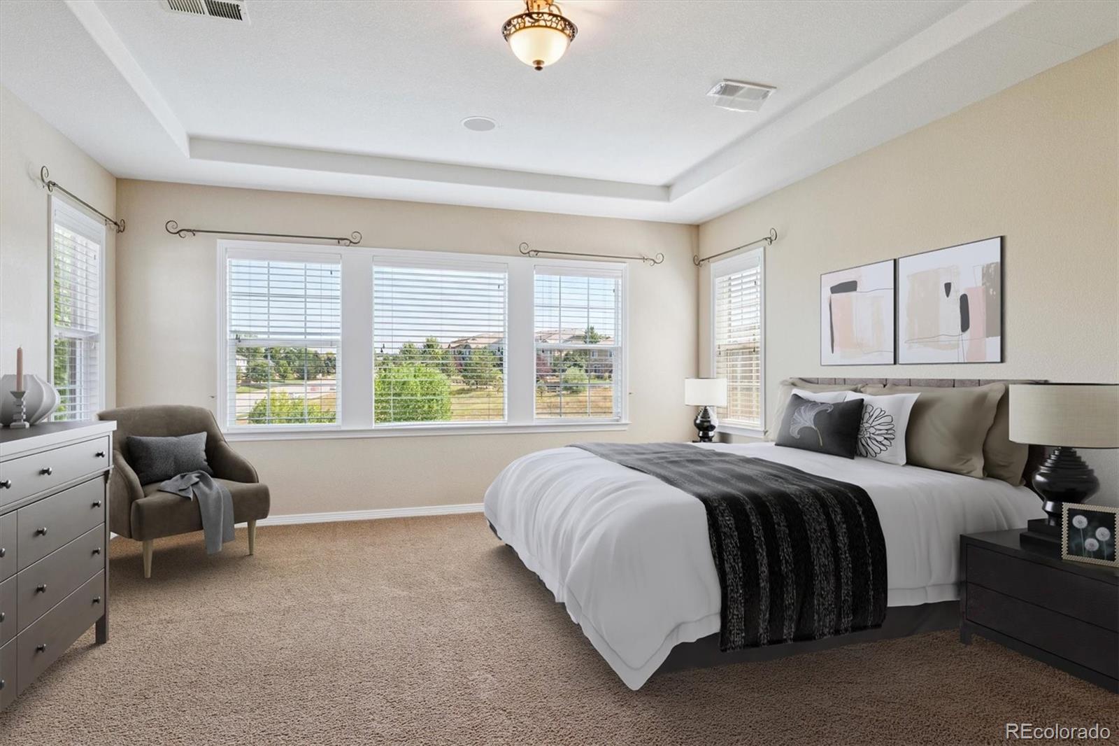 MLS Image #20 for 10426  willowwisp way,highlands ranch, Colorado