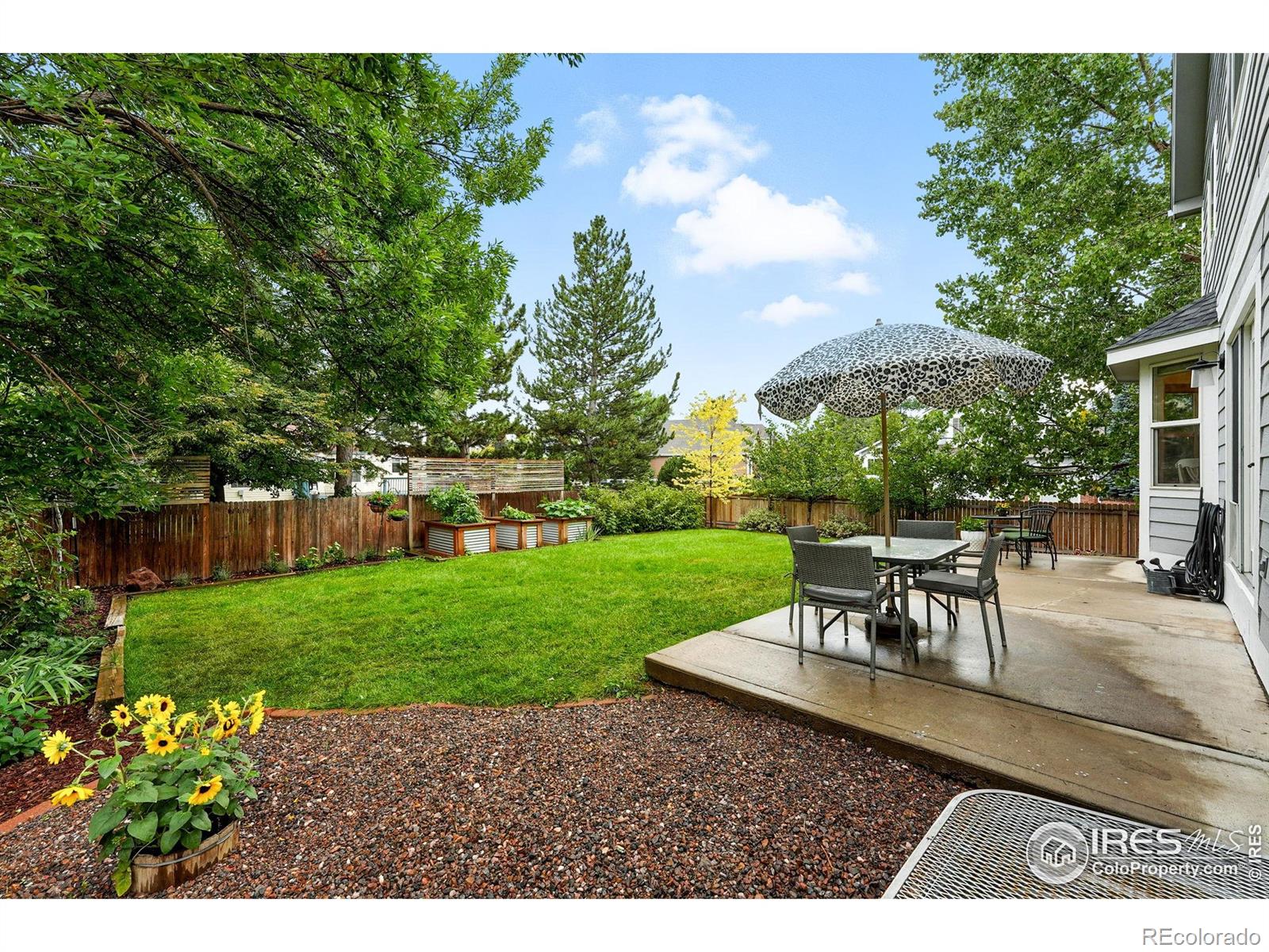 MLS Image #38 for 1432  wildrose drive,longmont, Colorado