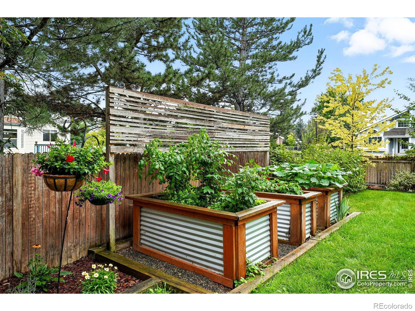 MLS Image #41 for 1432  wildrose drive,longmont, Colorado