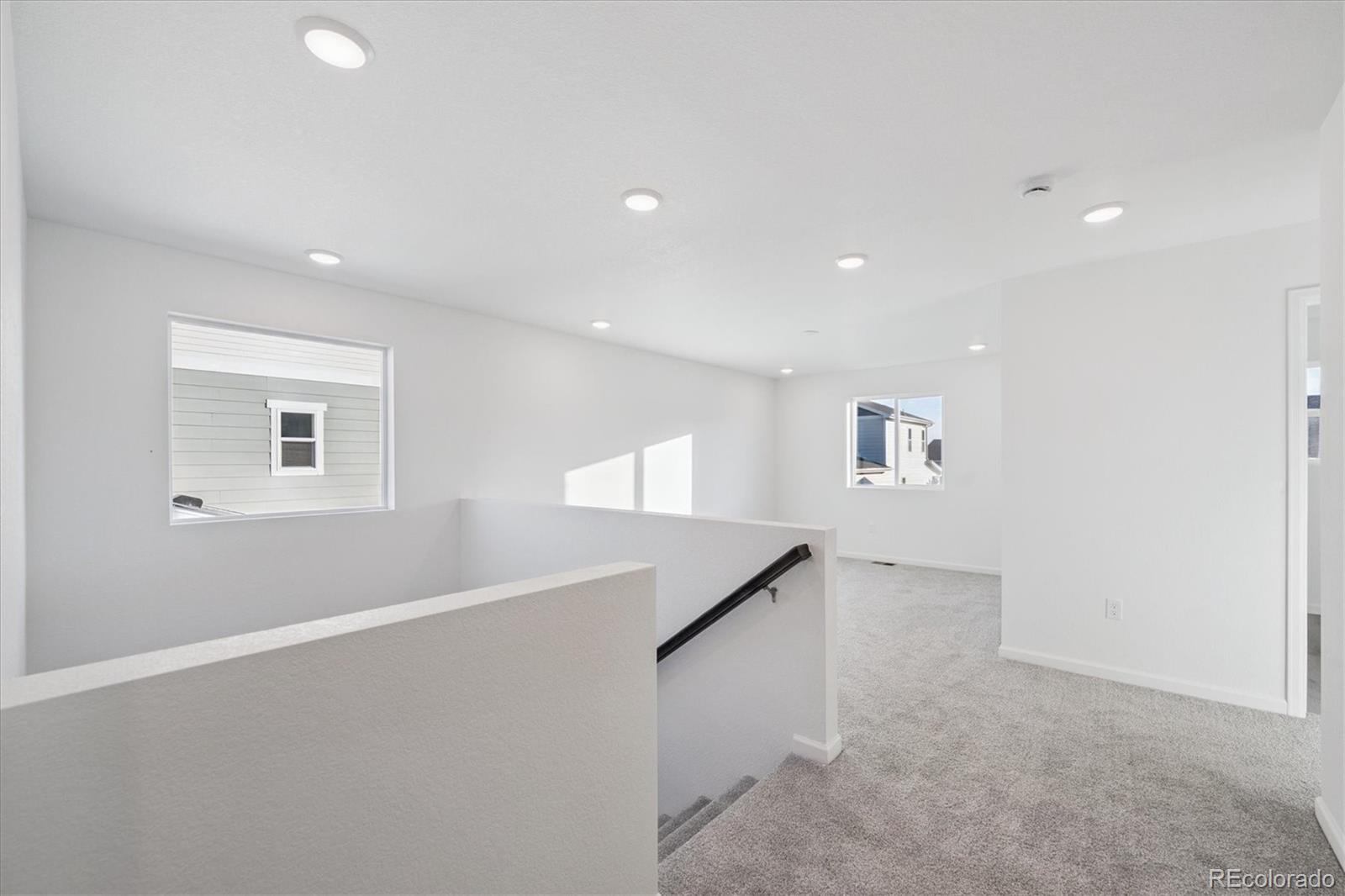 MLS Image #10 for 5594  brangus drive,windsor, Colorado