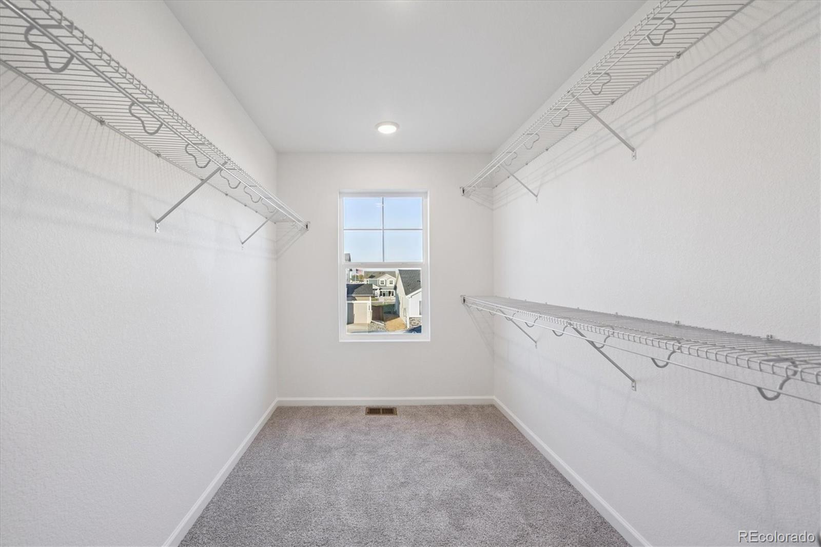 MLS Image #19 for 5594  brangus drive,windsor, Colorado