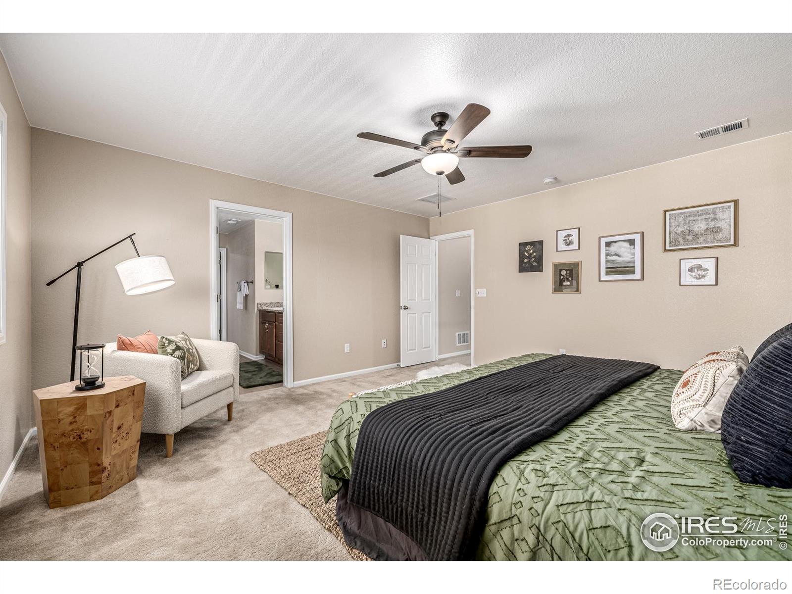MLS Image #19 for 12623  canoe street,firestone, Colorado