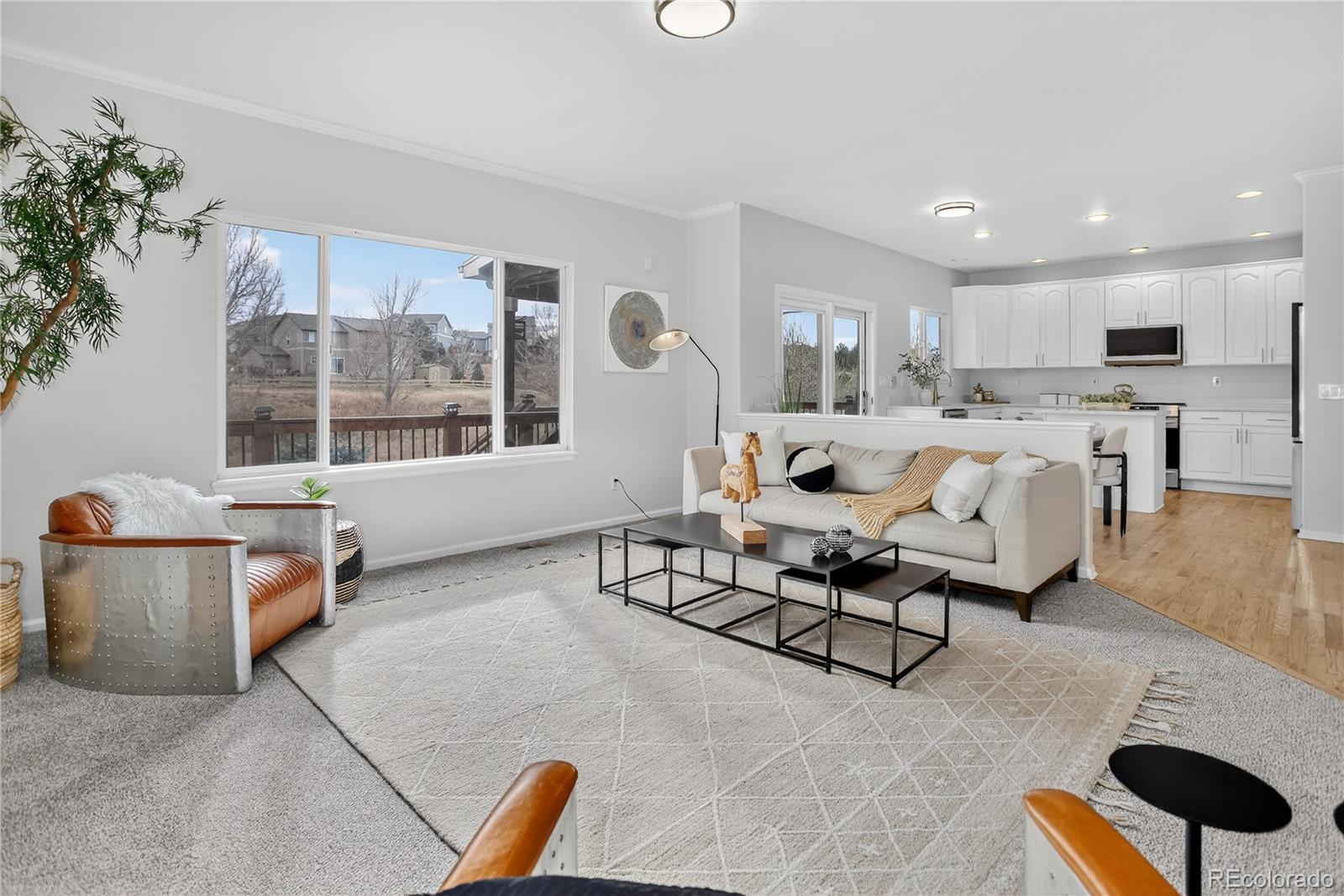 MLS Image #4 for 11589  maplewood lane,parker, Colorado