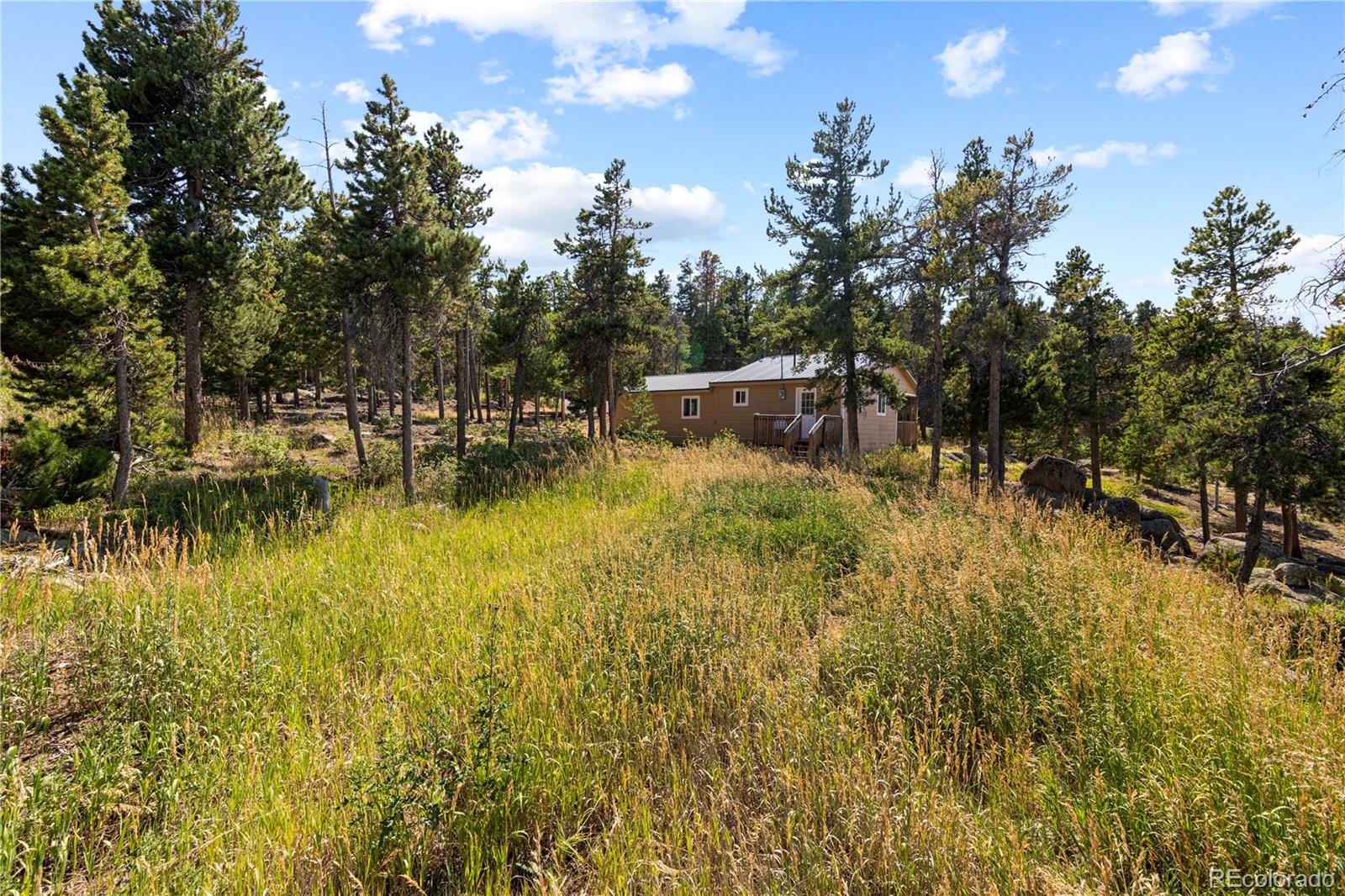 MLS Image #18 for 8  ronnie road,golden, Colorado