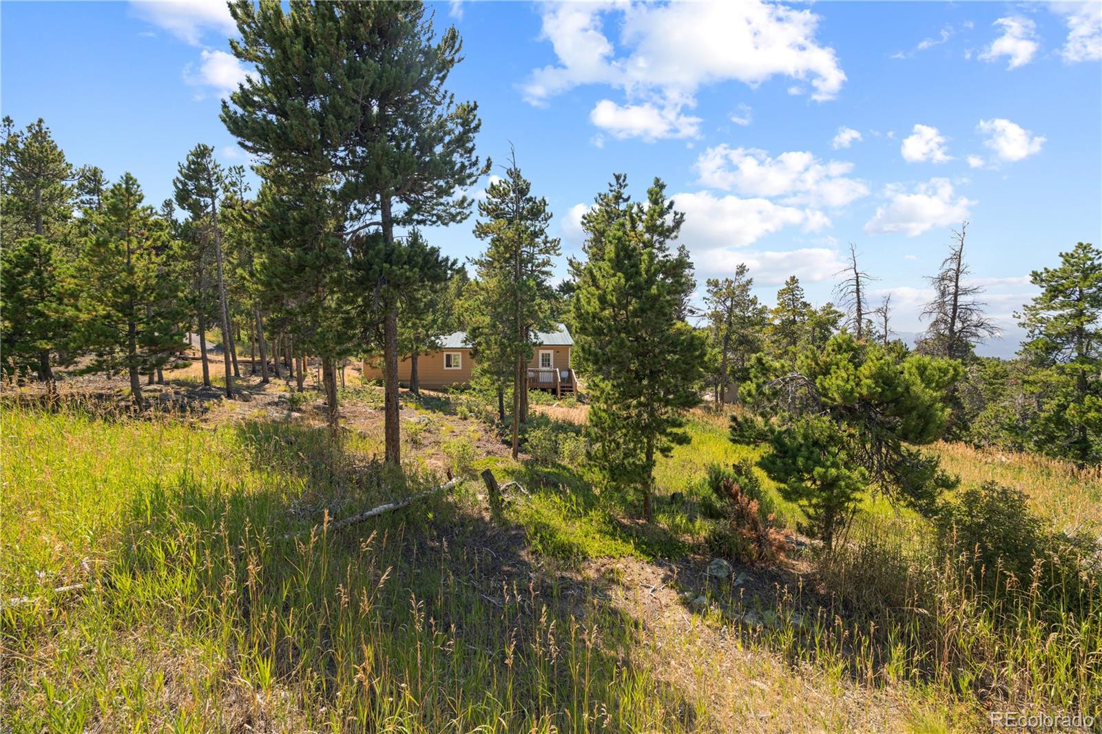MLS Image #19 for 8  ronnie road,golden, Colorado