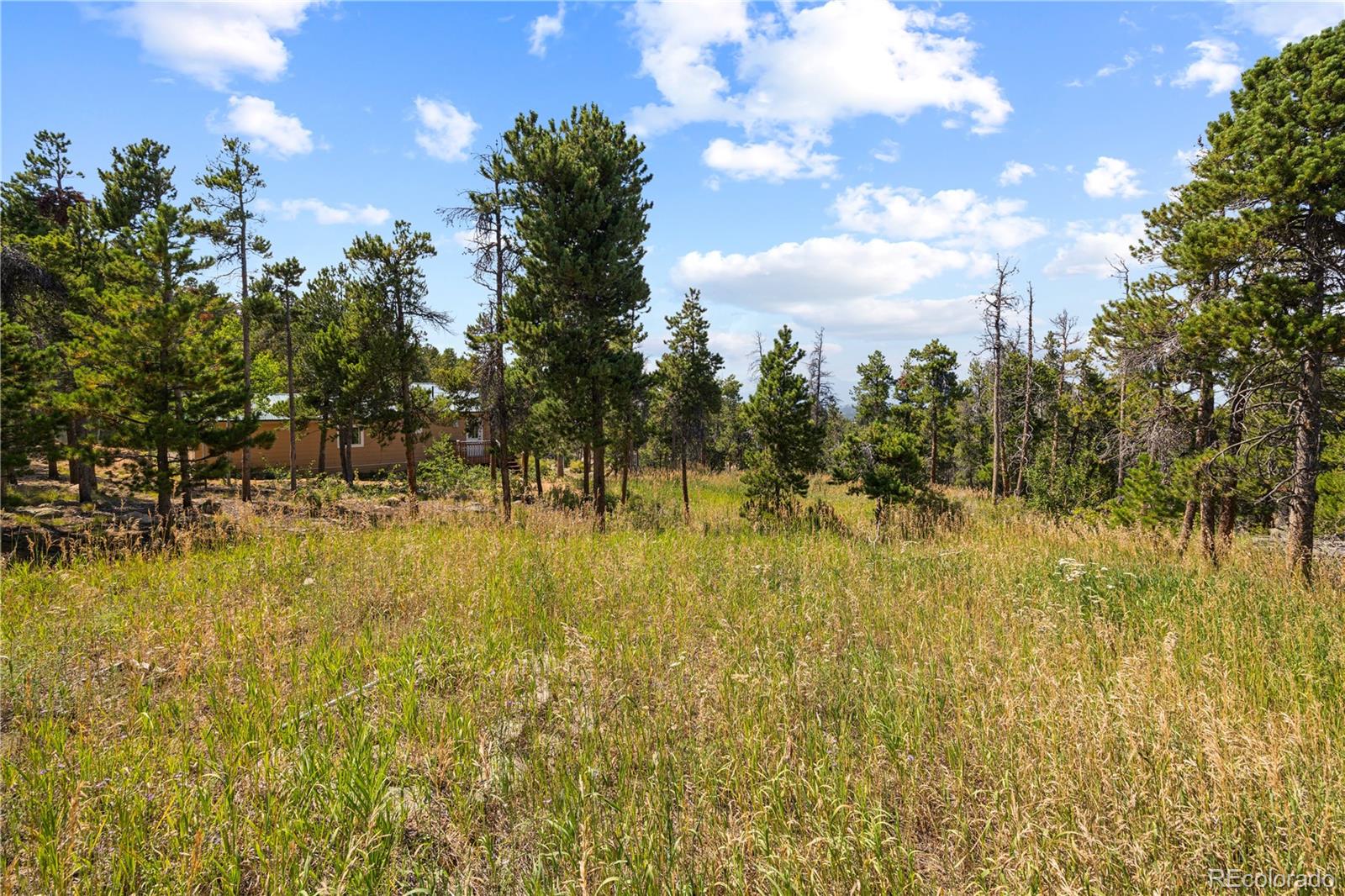 MLS Image #20 for 8  ronnie road,golden, Colorado
